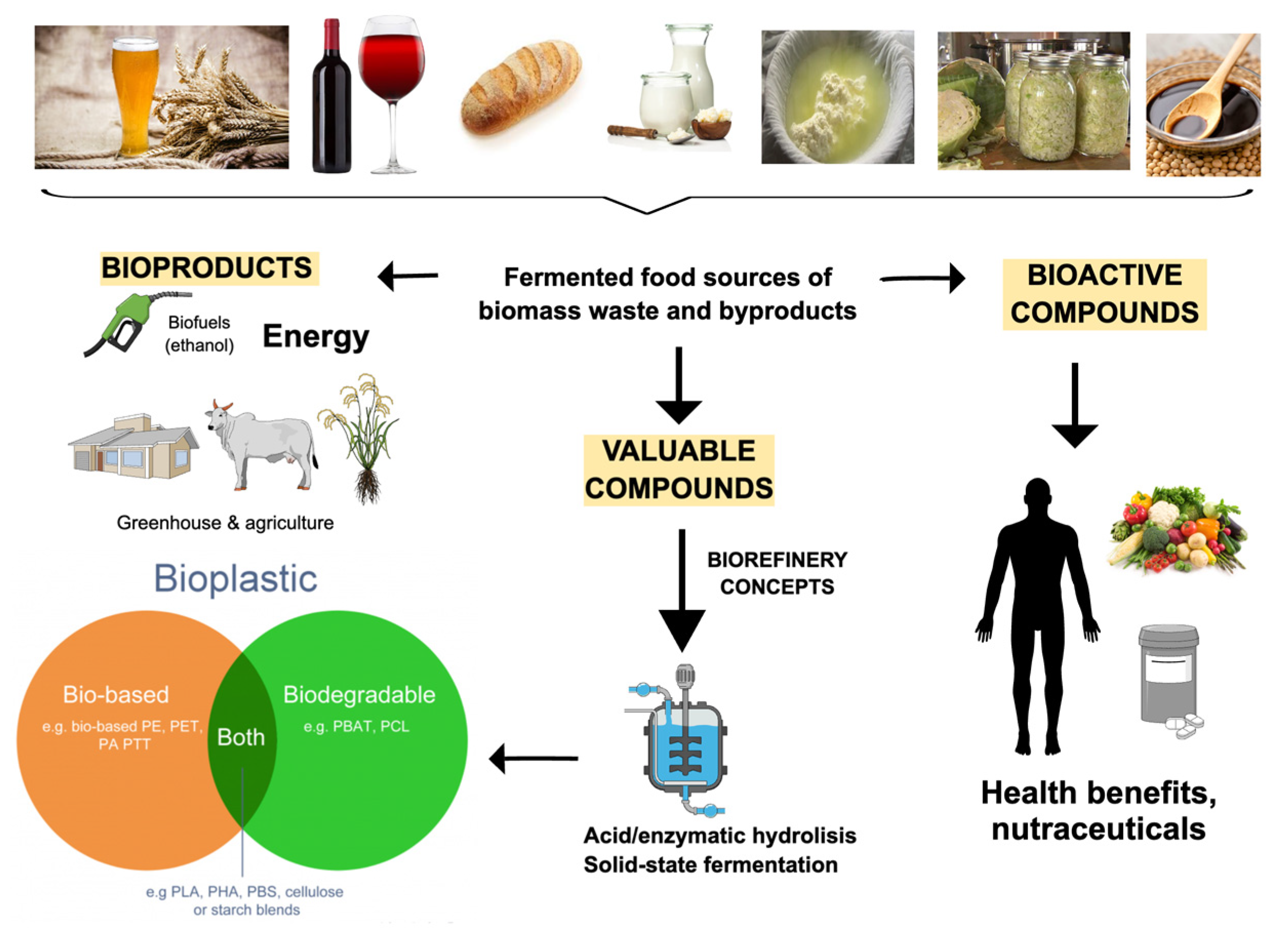 The US aims to close its fermentation capacity gap