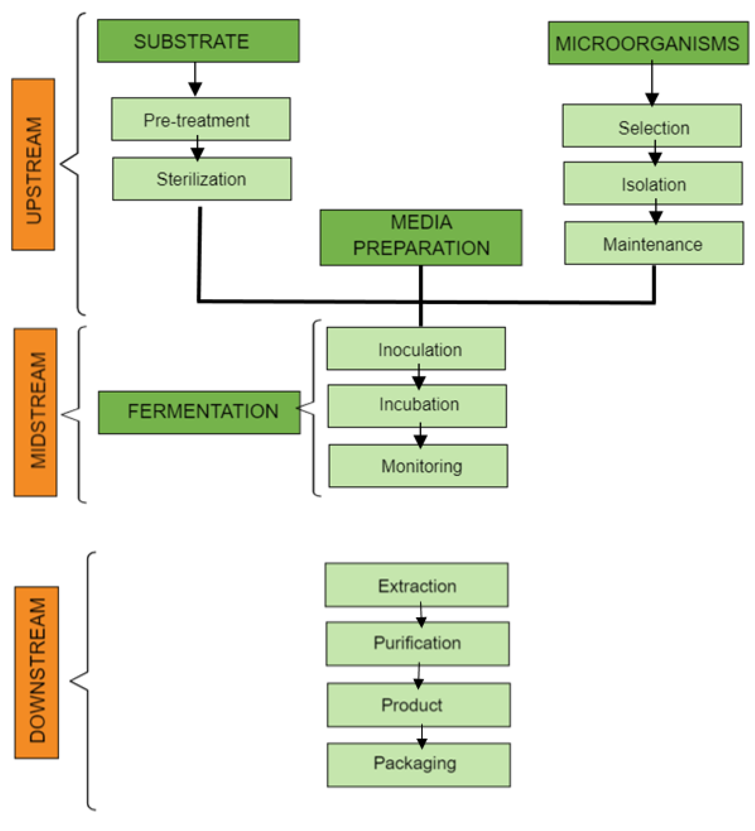 Fermentation 09 00920 g002
