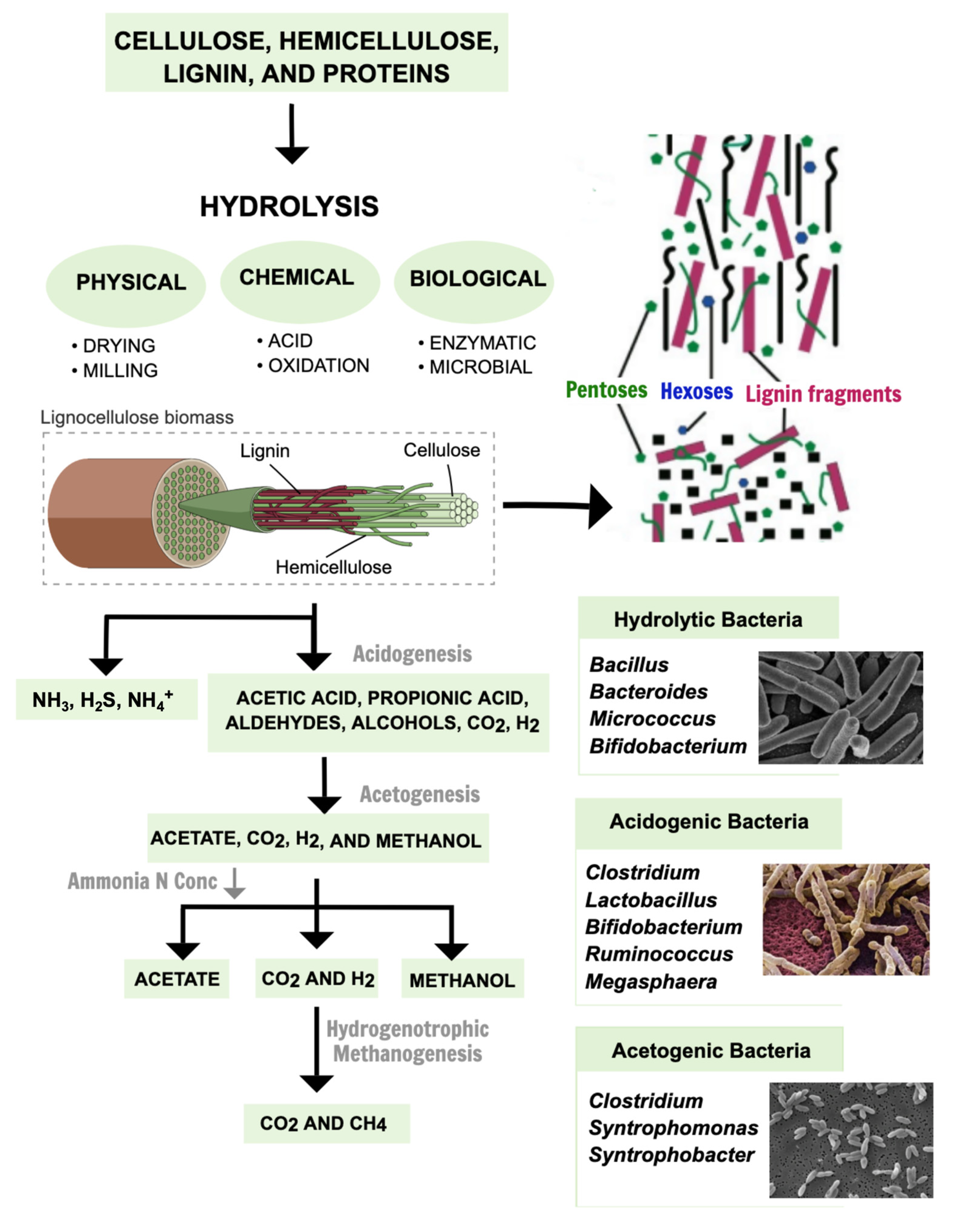 Fermentation 09 00920 g004