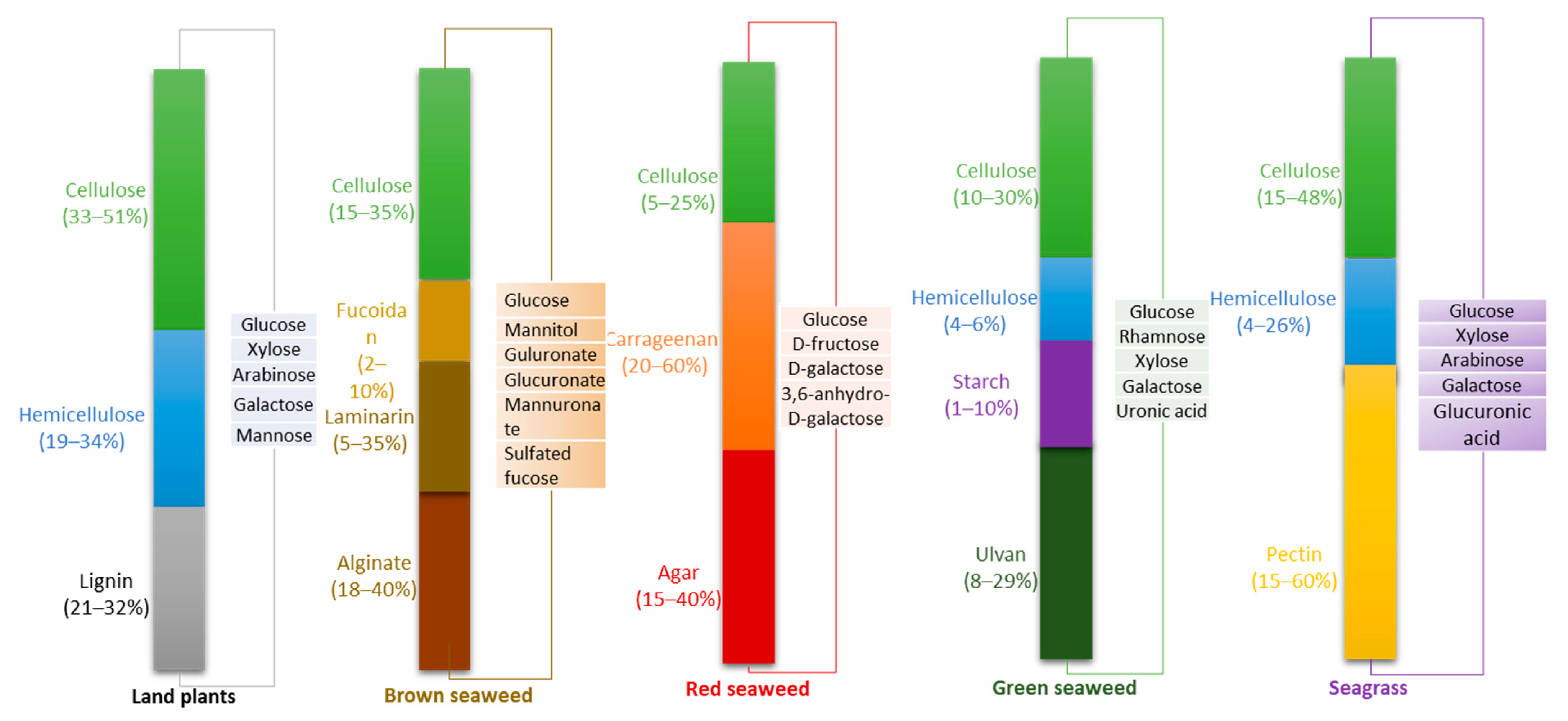 Fermentation 09 00934 g001