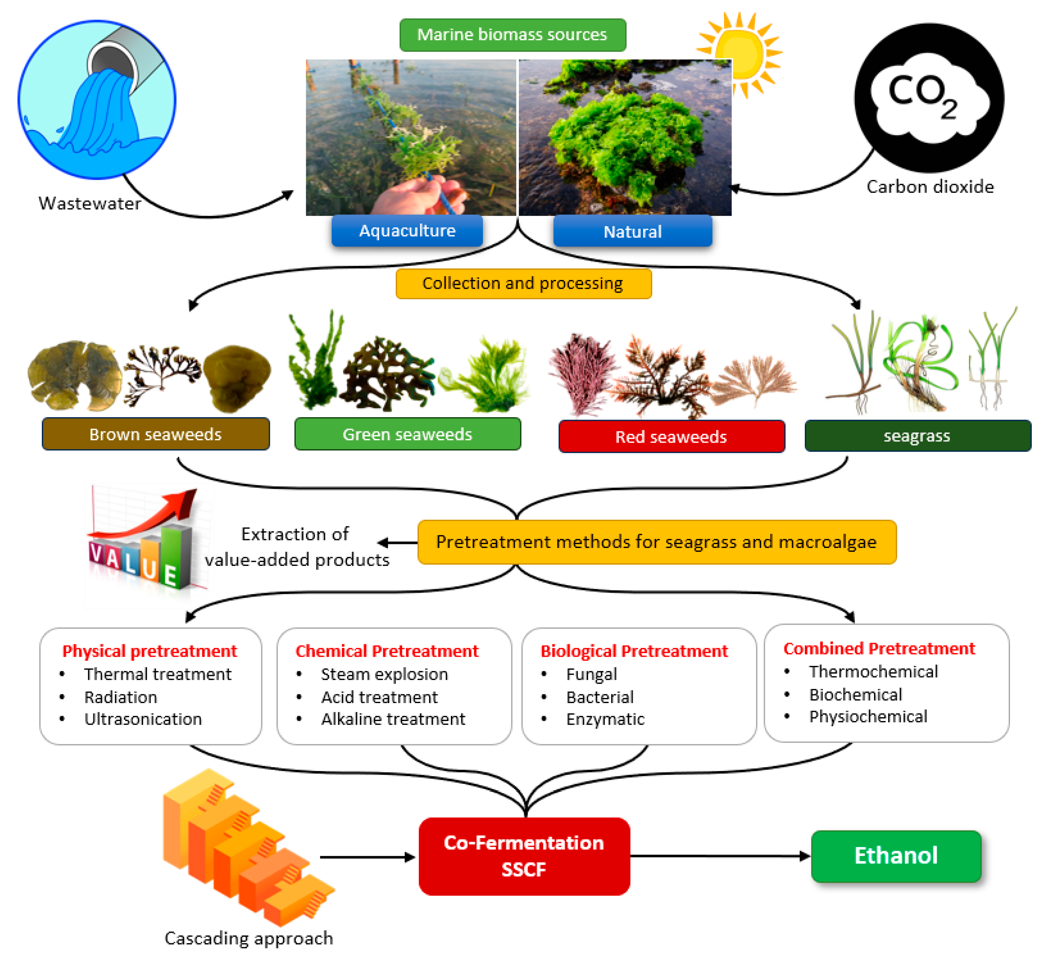 Fermentation 09 00934 g003