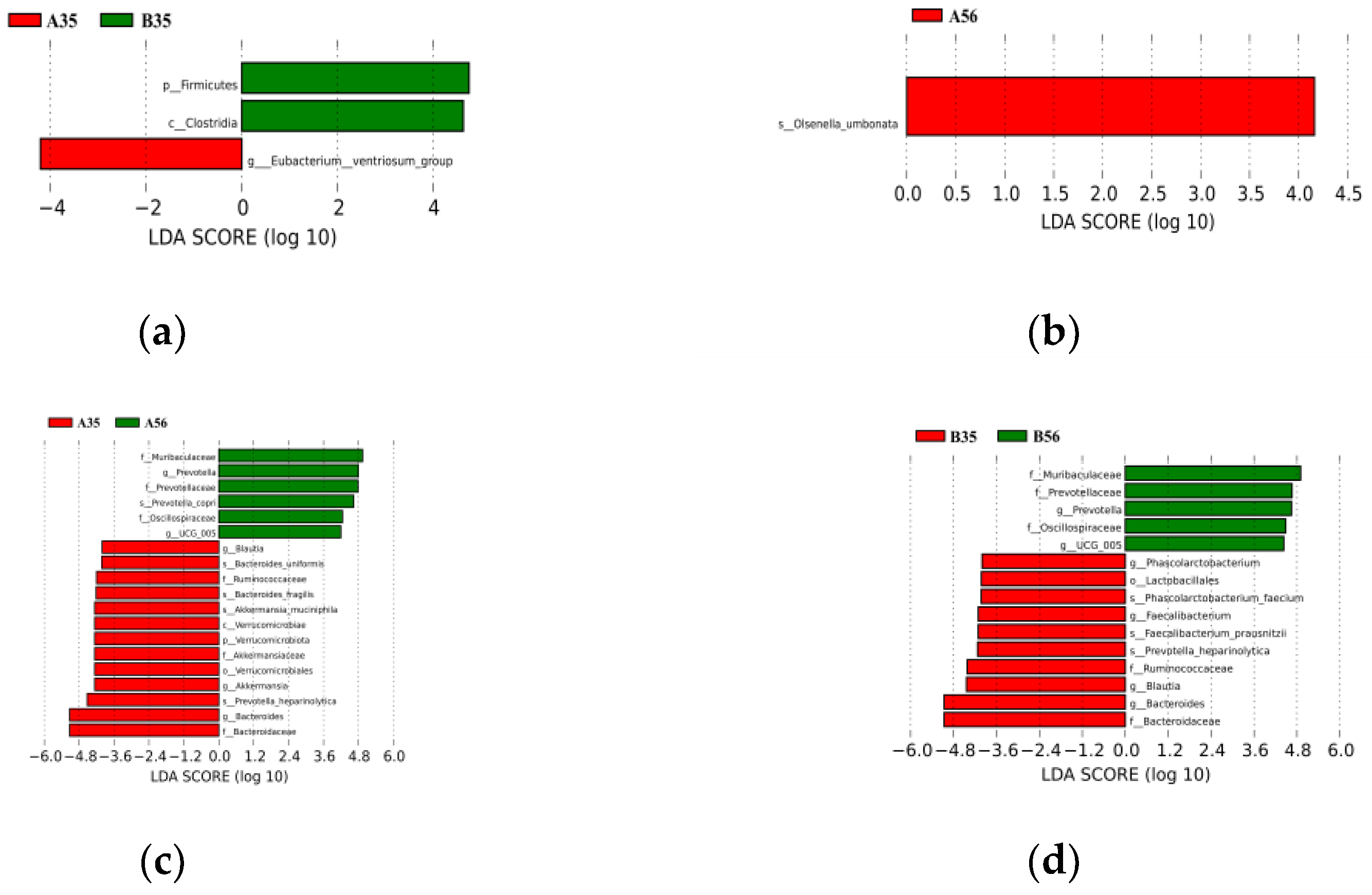 Fermentation 09 00935 g003
