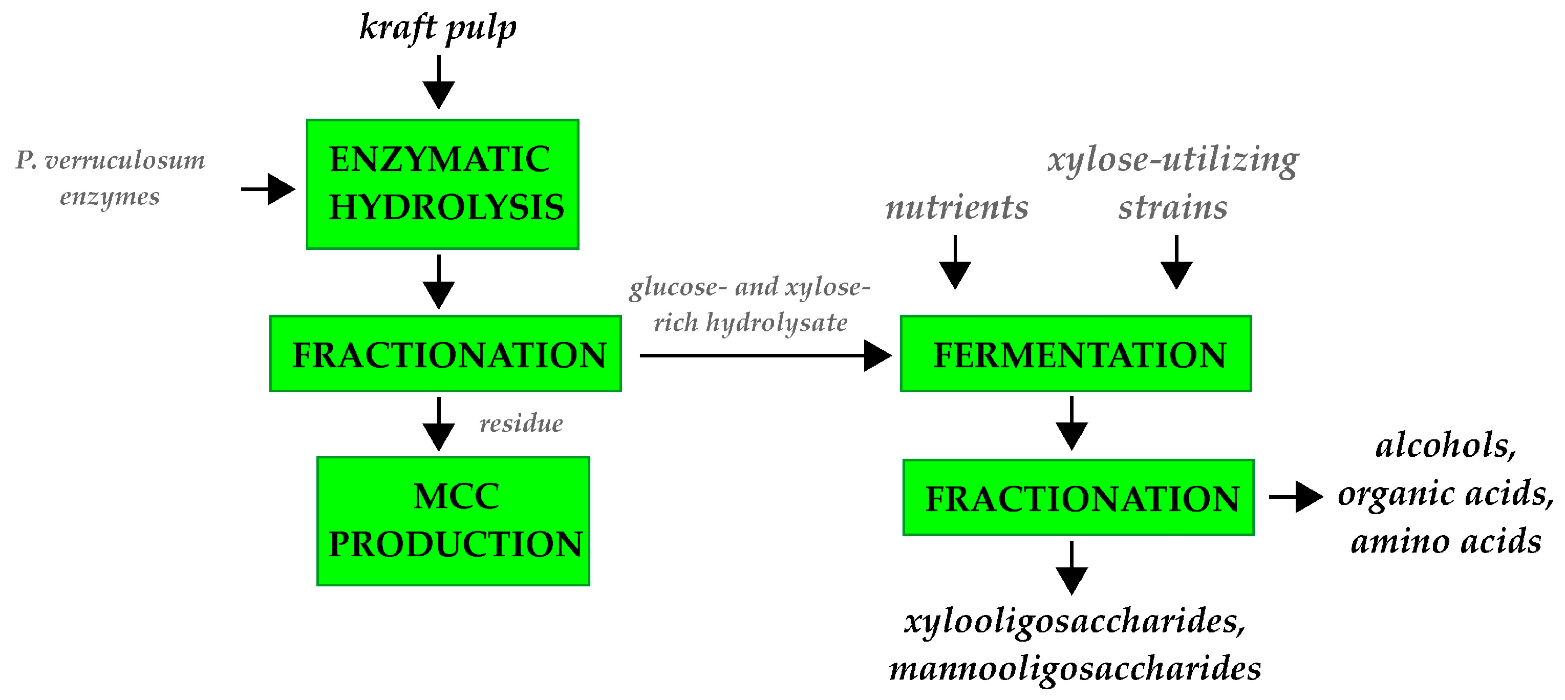 Fermentation 09 00936 g007