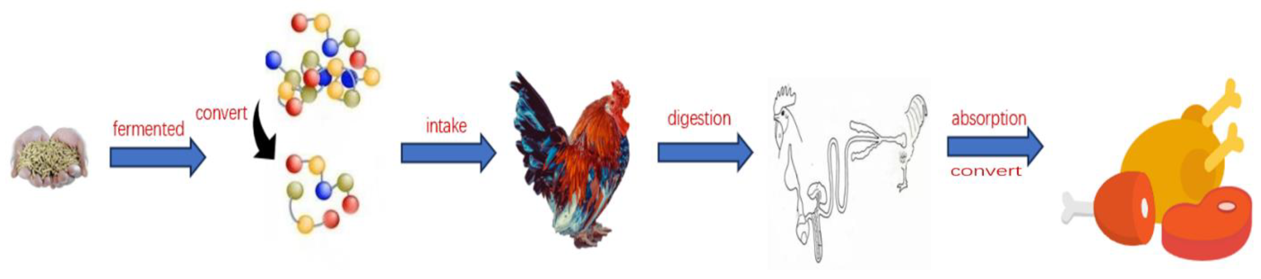Fermentation 09 00947 g001