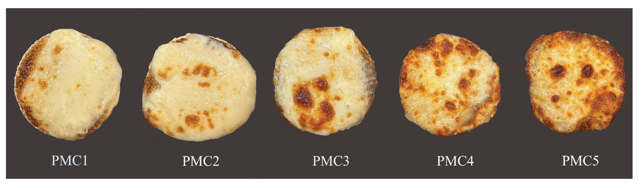 Fermentation 09 00948 g002