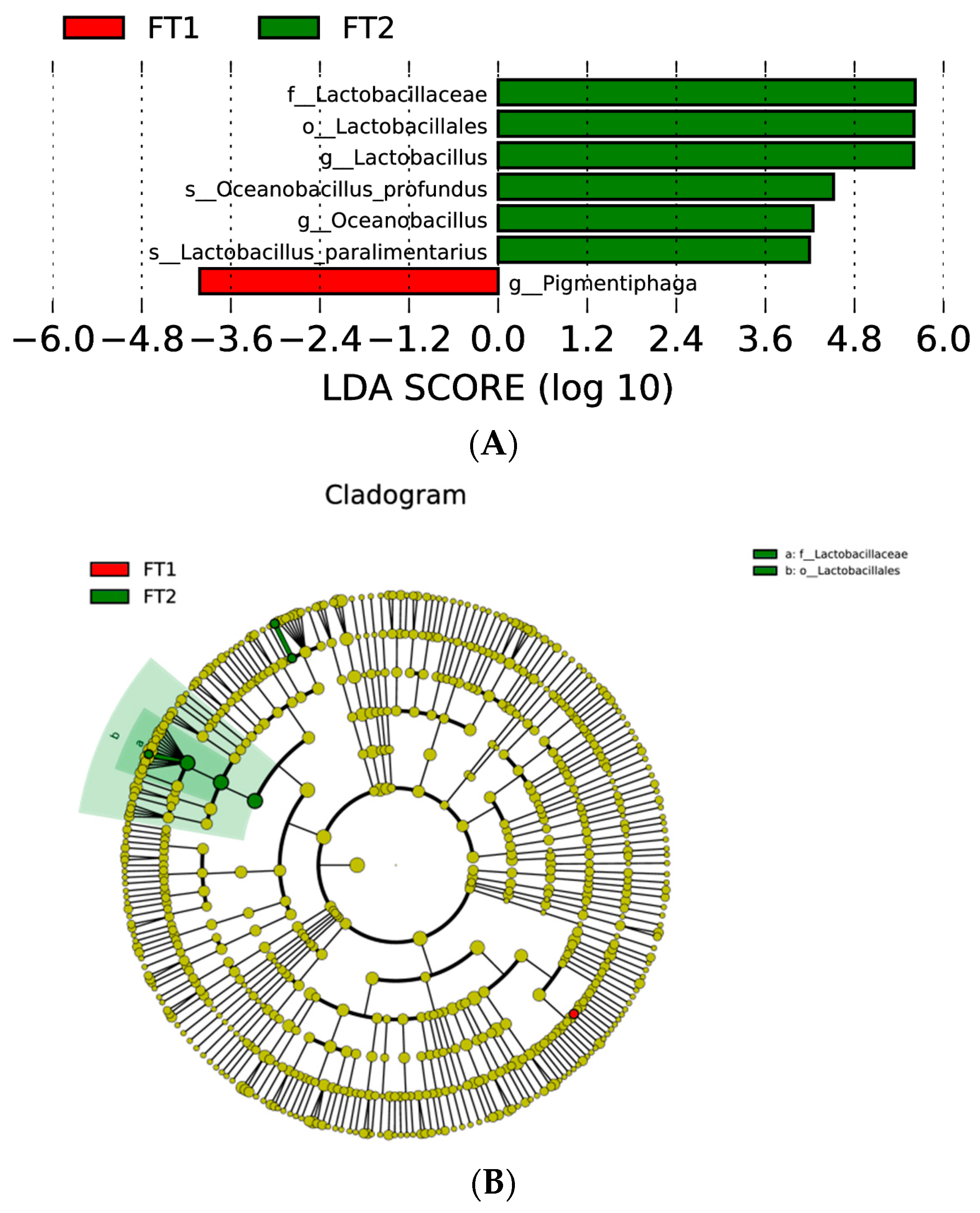 Fermentation 09 00949 g003