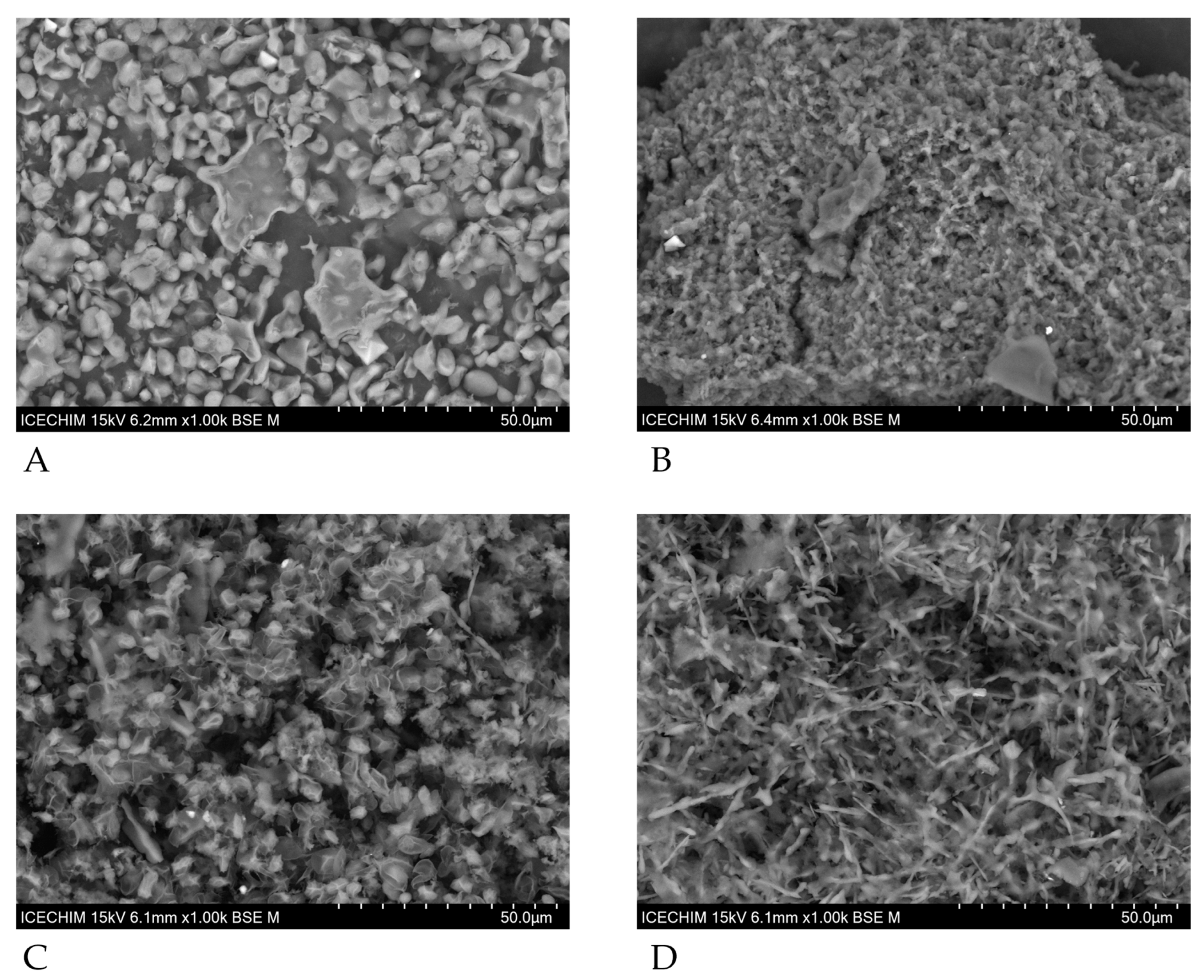 Fermentation 09 00952 g005