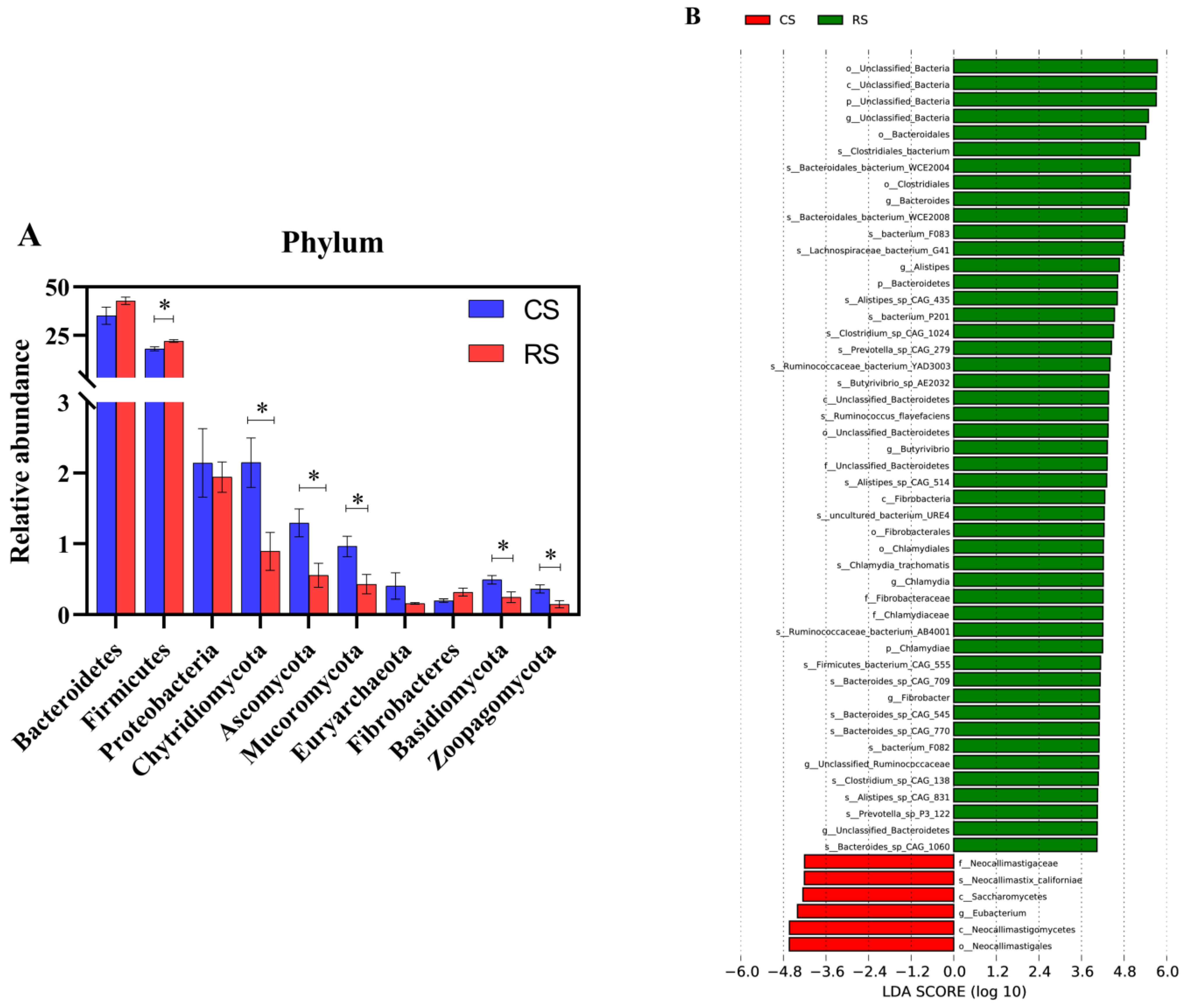 Fermentation 09 00954 g003 Fermentation 09 00954 g003