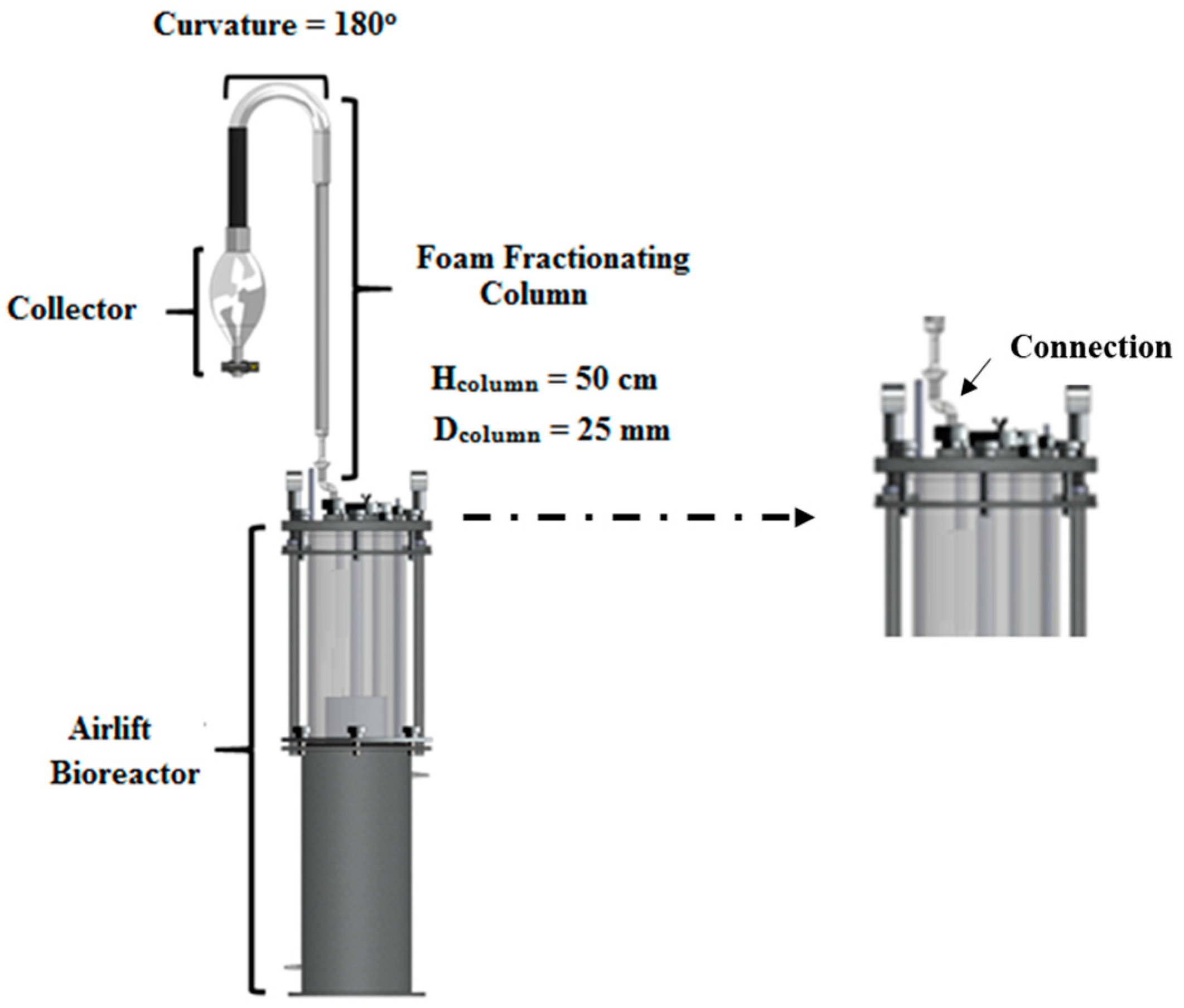 Fermentation 09 00959 g001