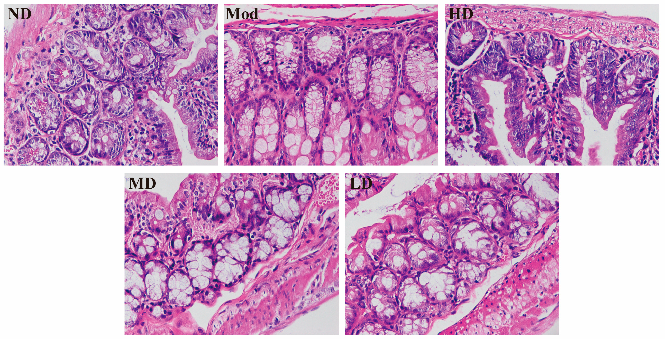 Fermentation 09 00962 g002