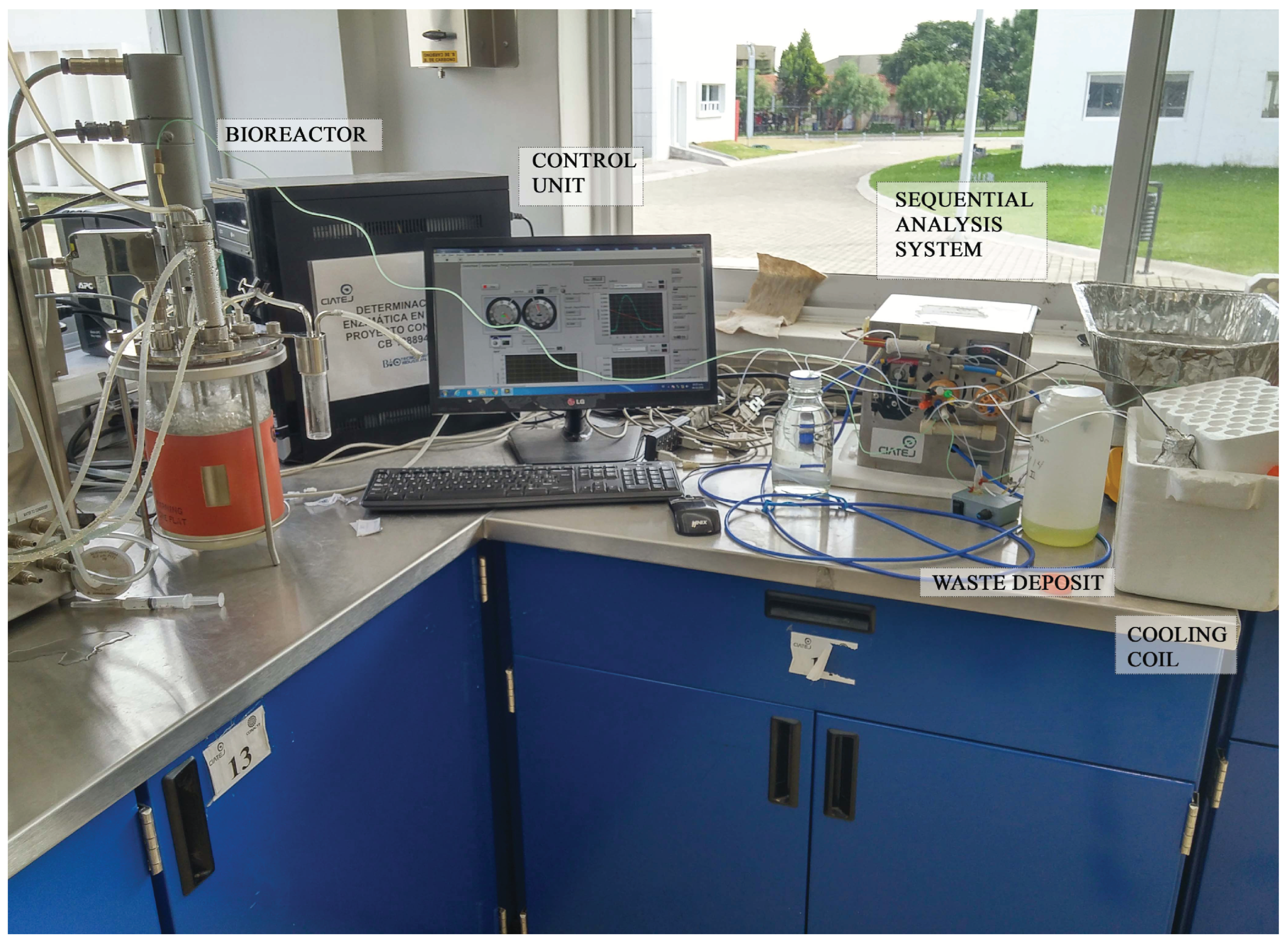 Fermentation 09 00963 g007