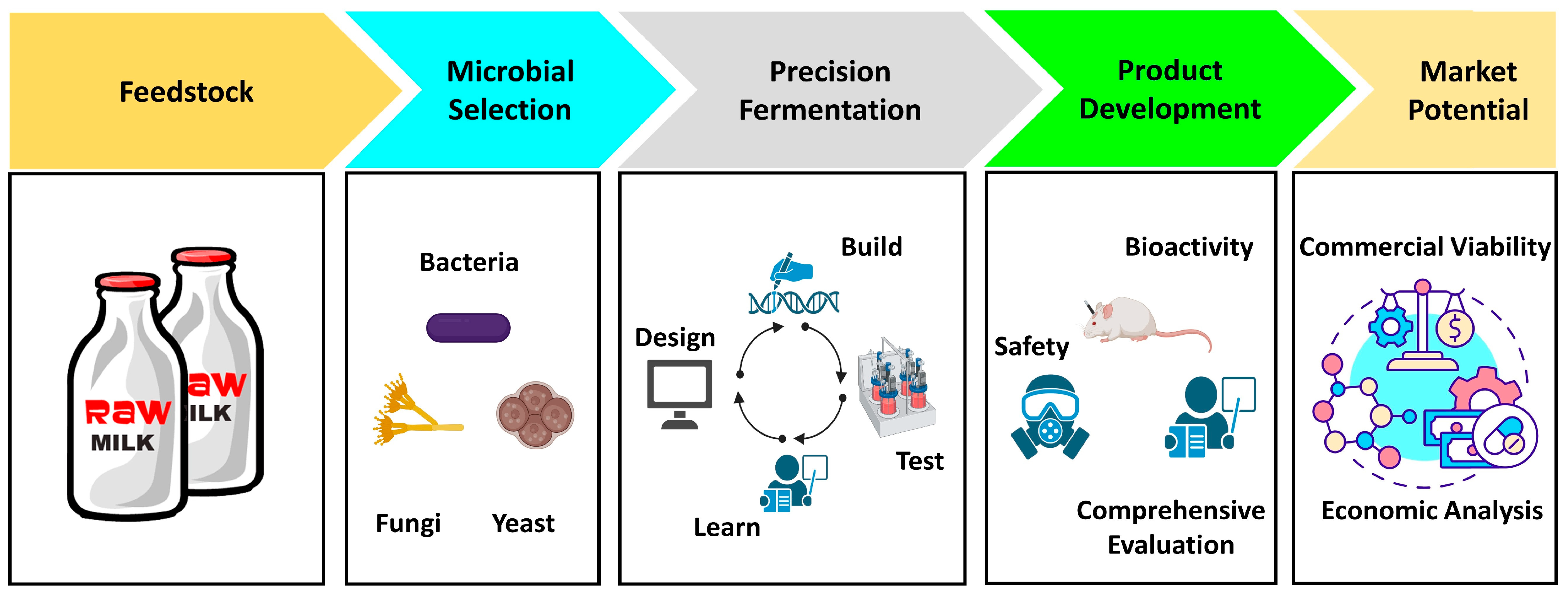 Fermentation 09 00964 g004