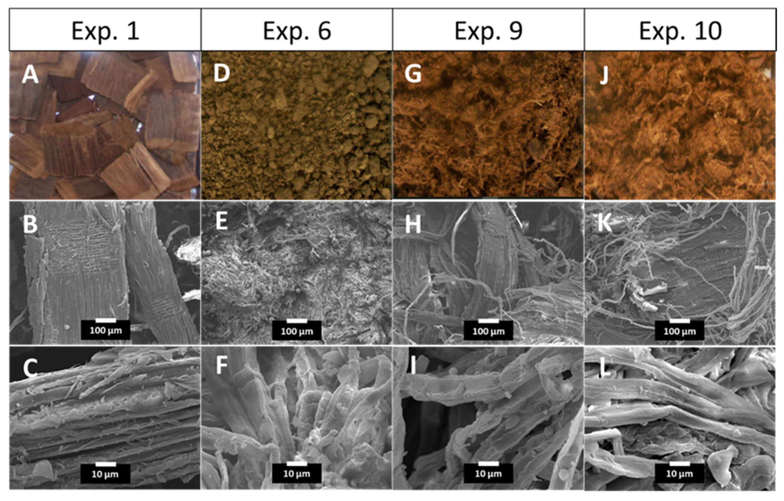 Fermentation 09 00965 g004