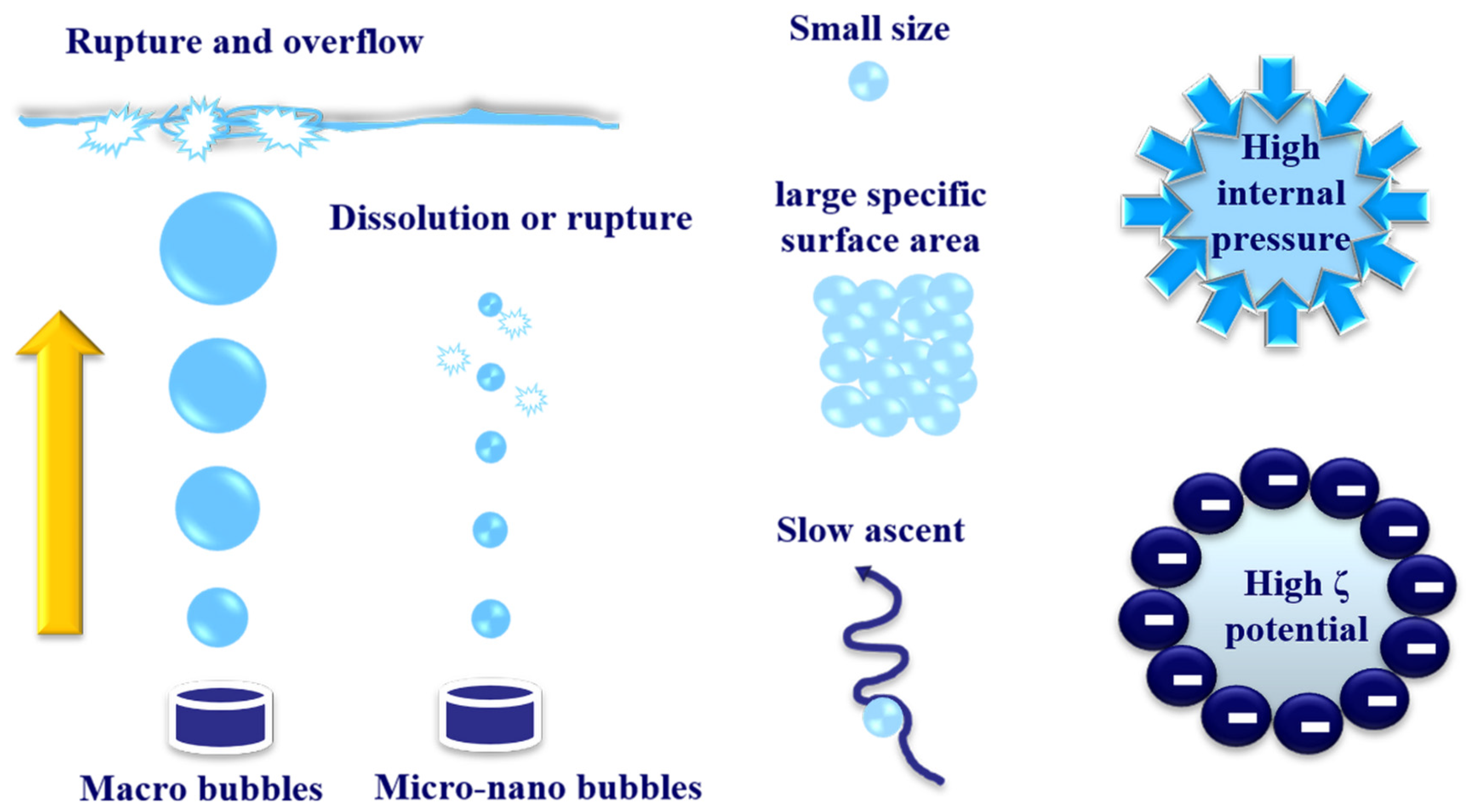 Fermentation 09 00967 g002