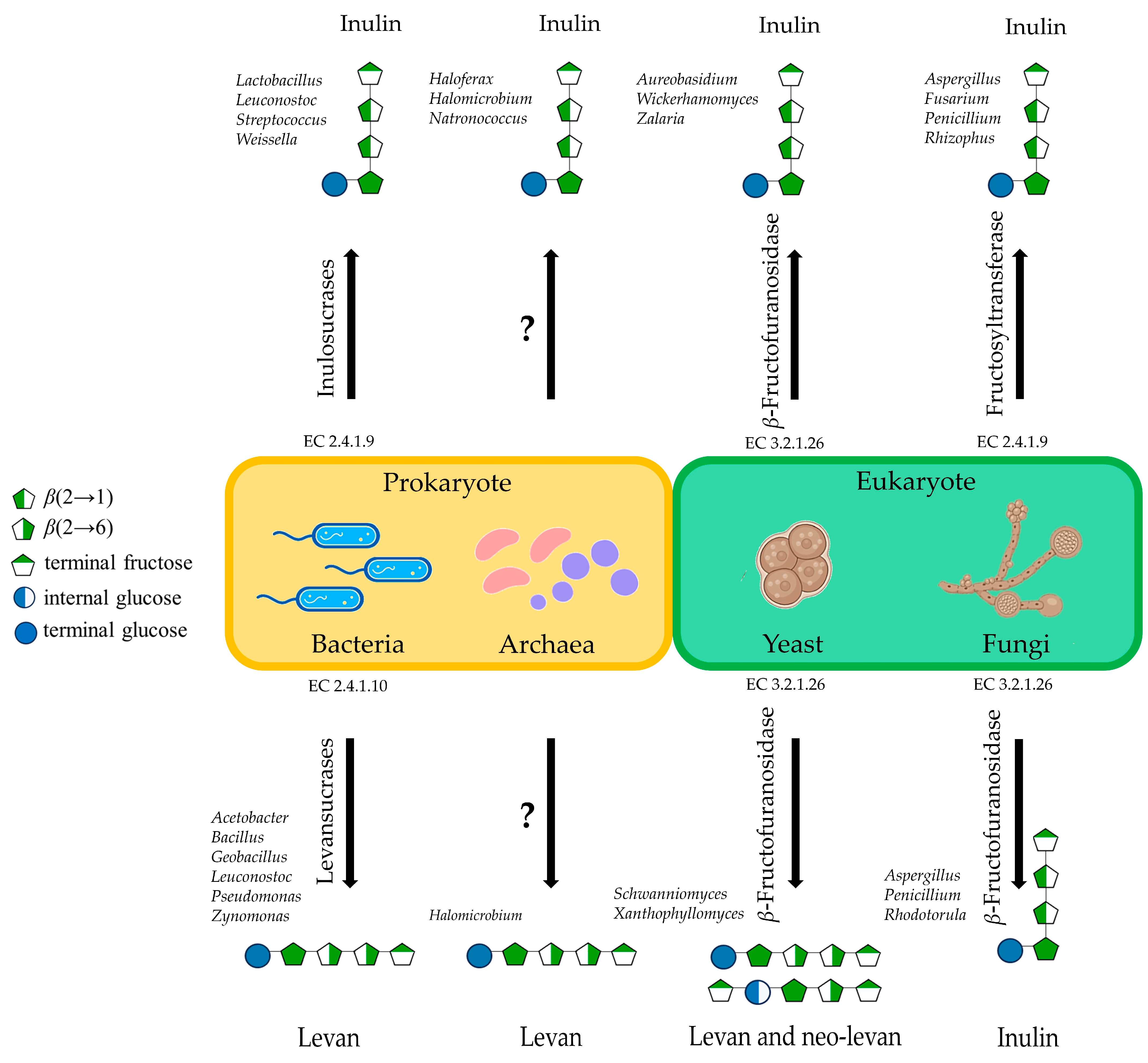 Fermentation 09 00968 g001