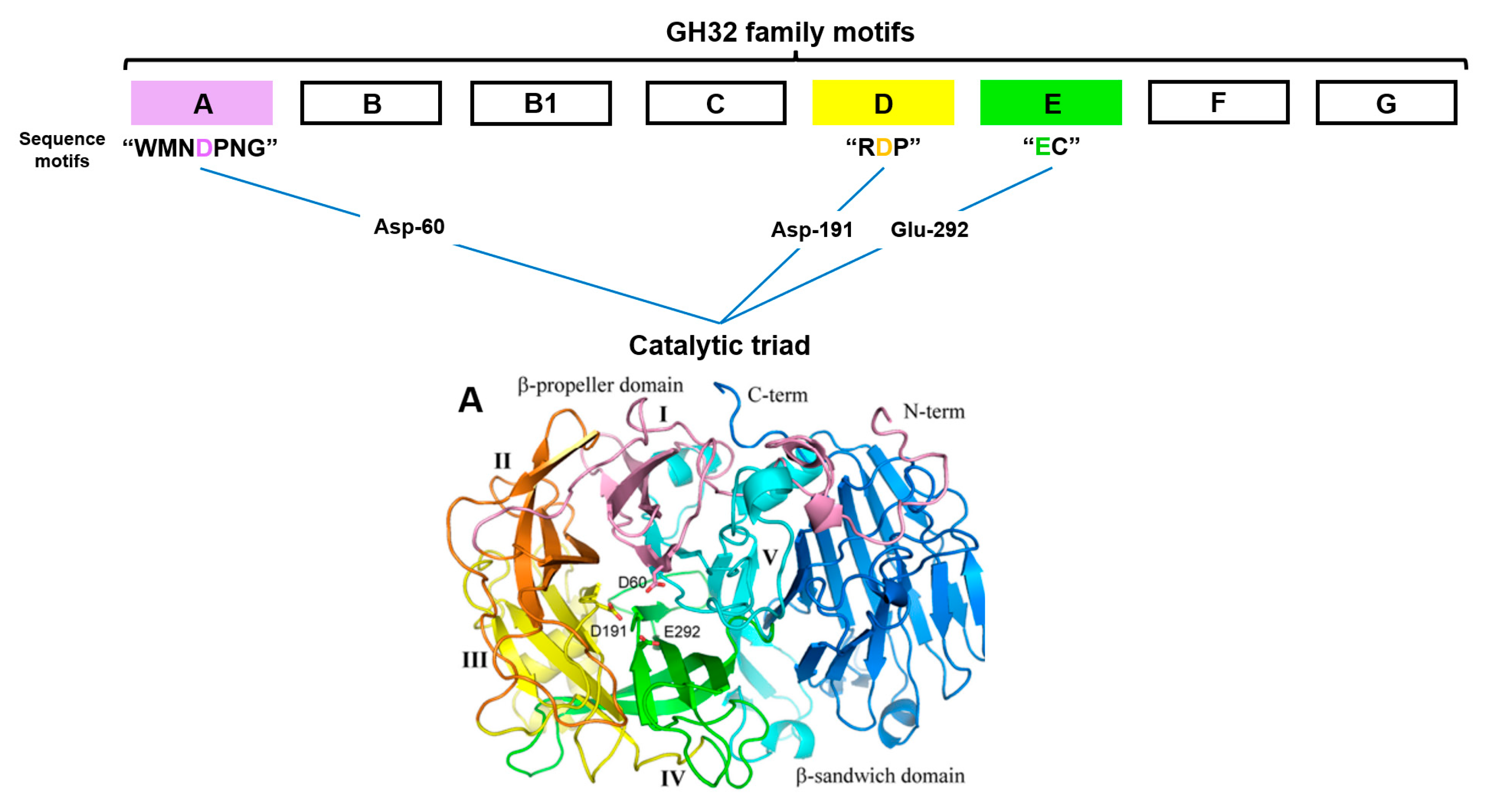 Fermentation 09 00968 g002