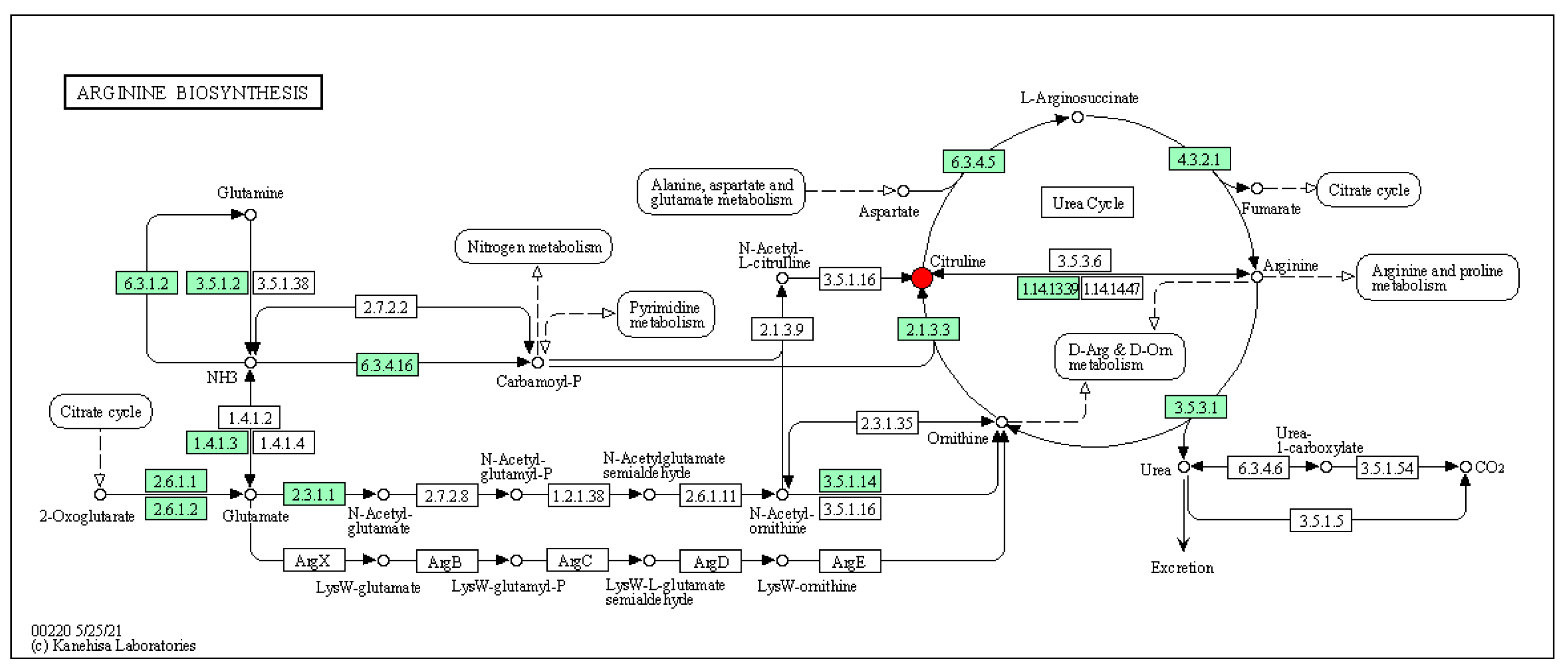 Fermentation 09 00971 g011
