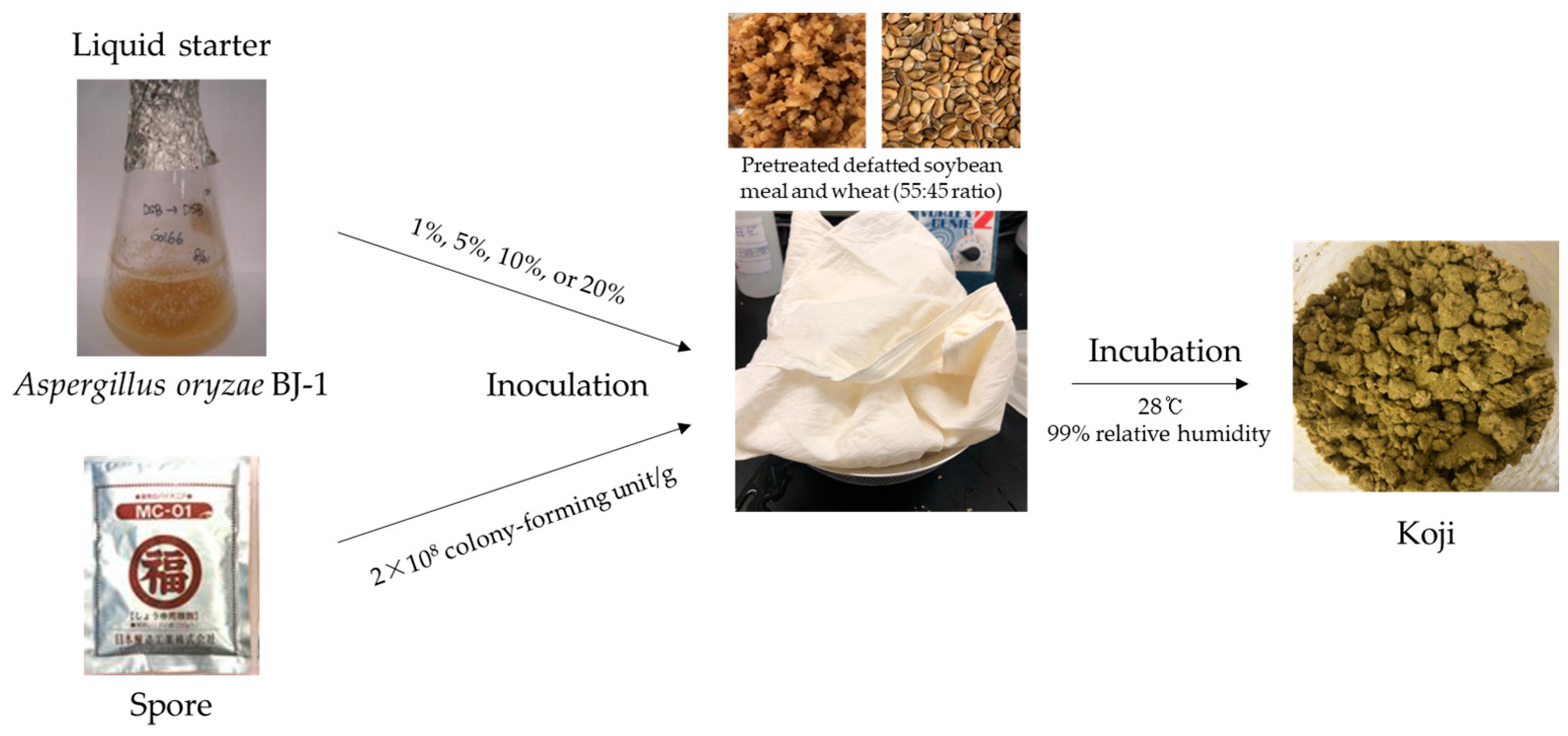 Fermentation 09 00979 g001