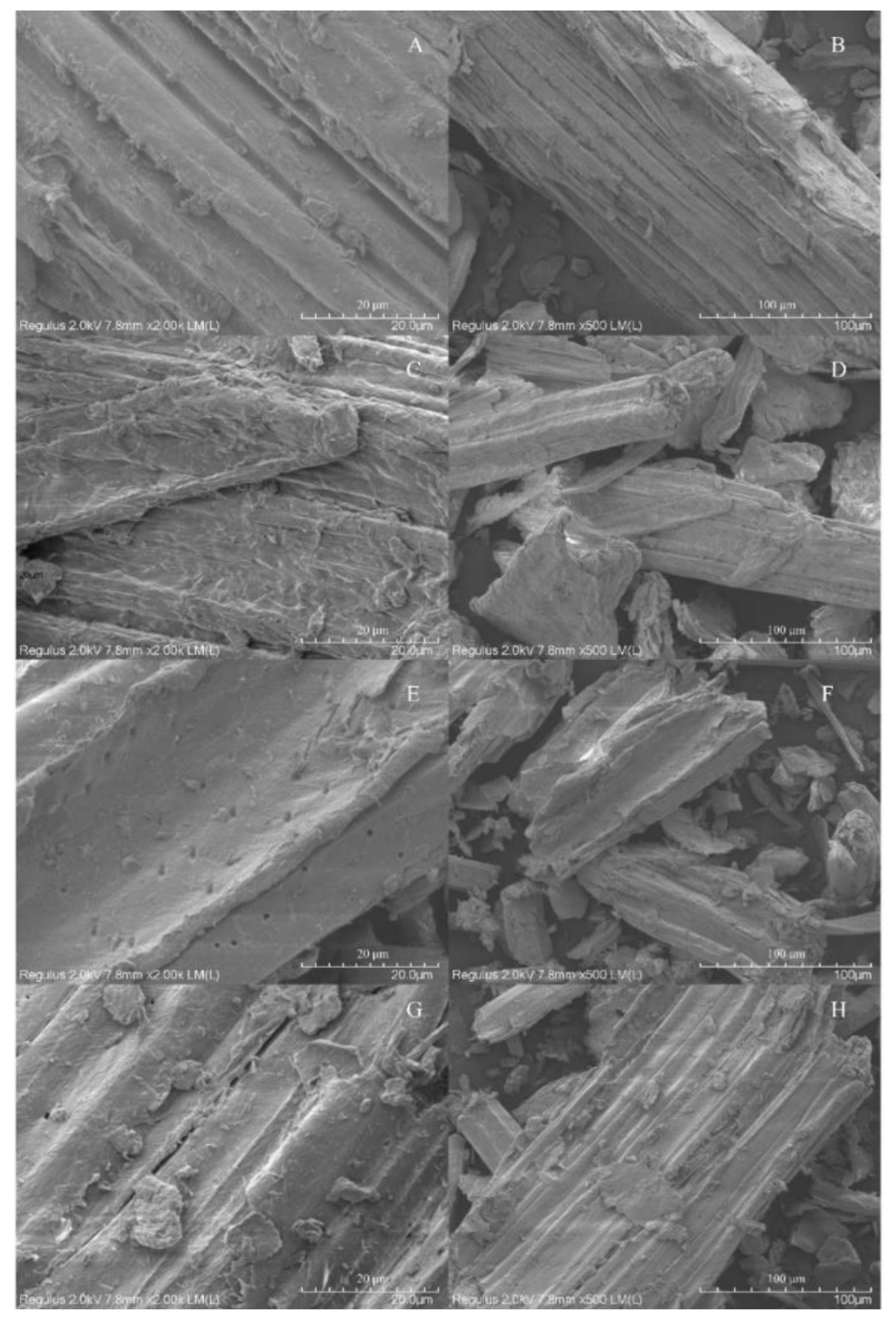 Fermentation 09 00981 g002