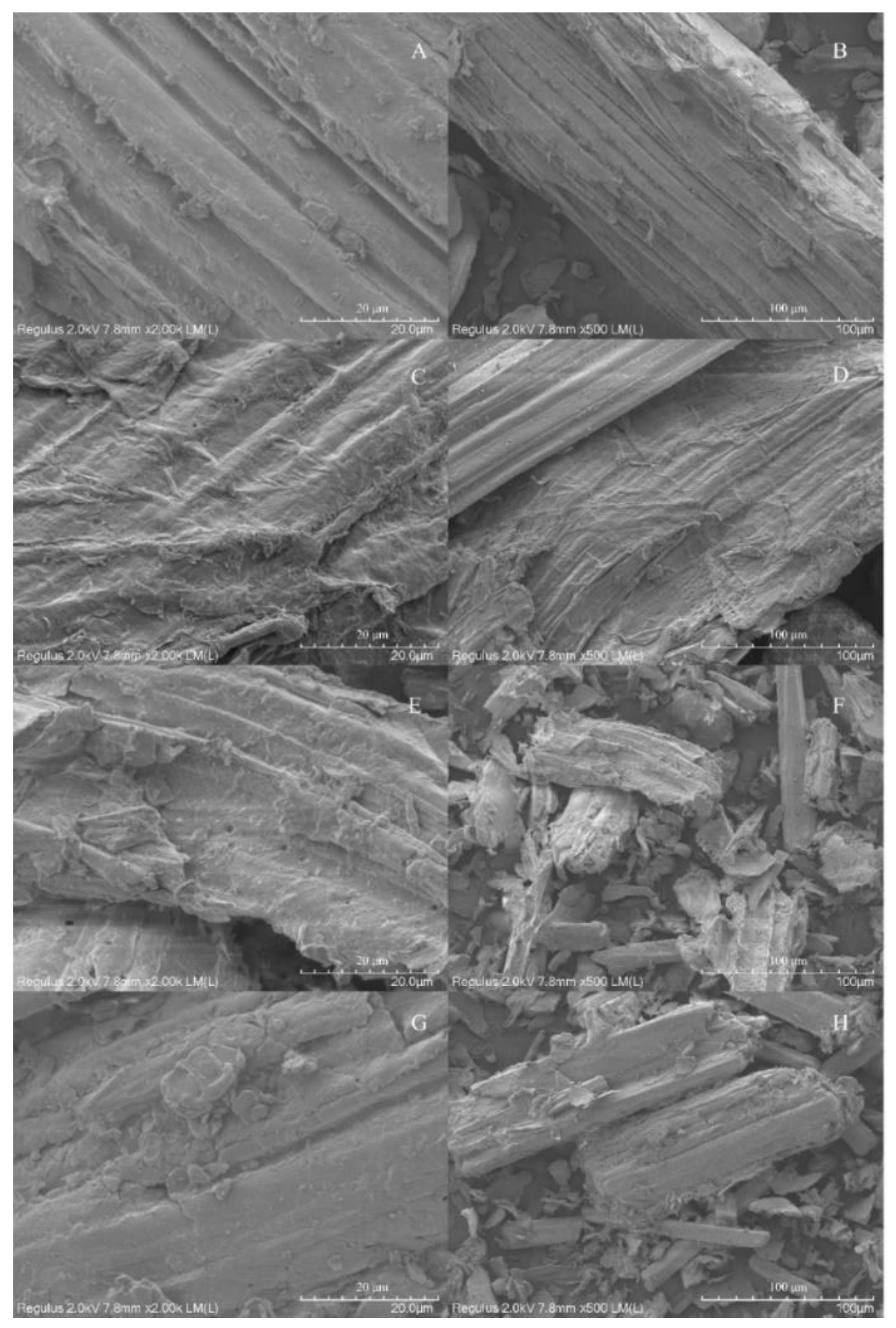 Fermentation 09 00981 g003