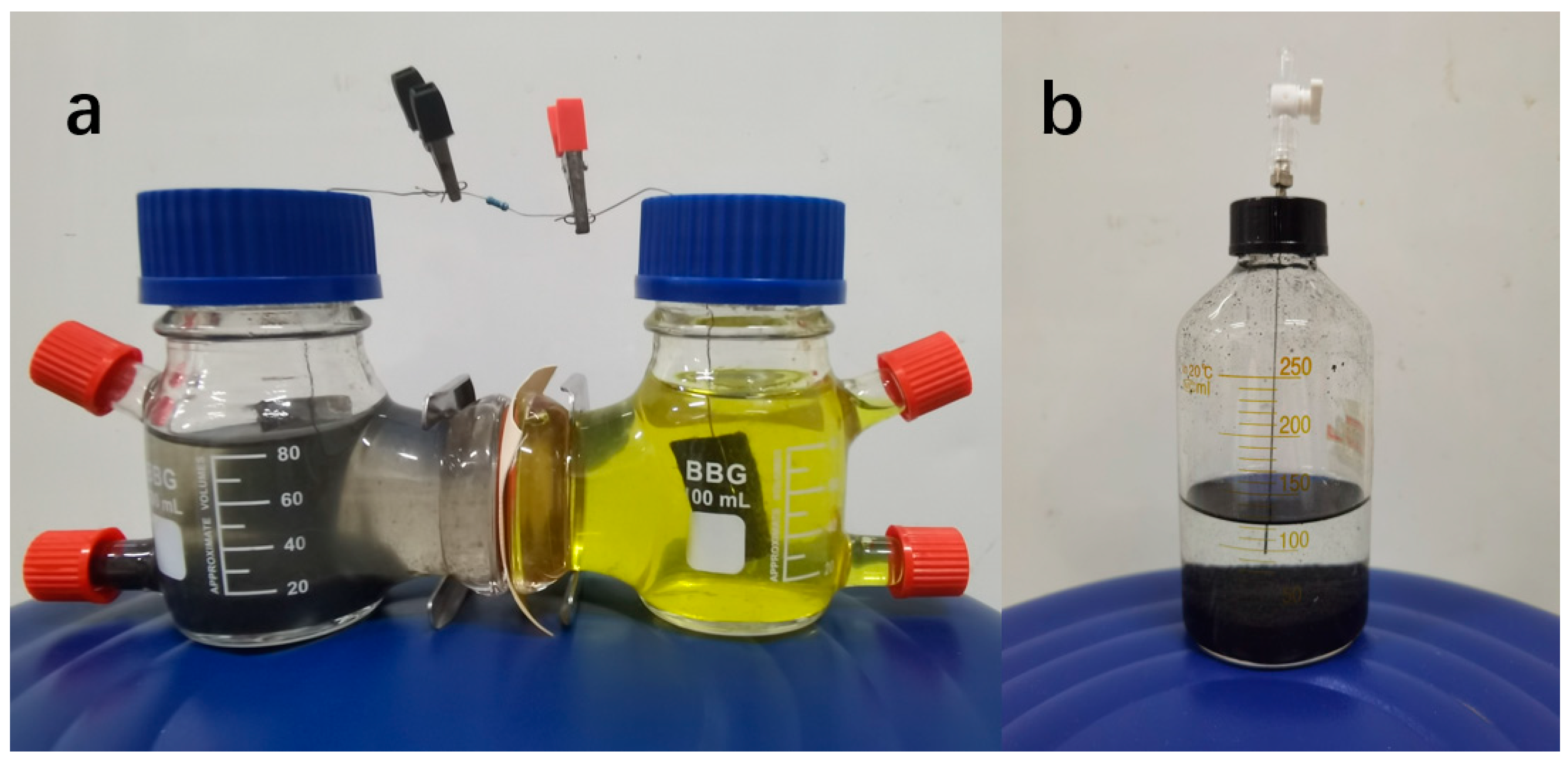 Fermentation 09 00983 g001