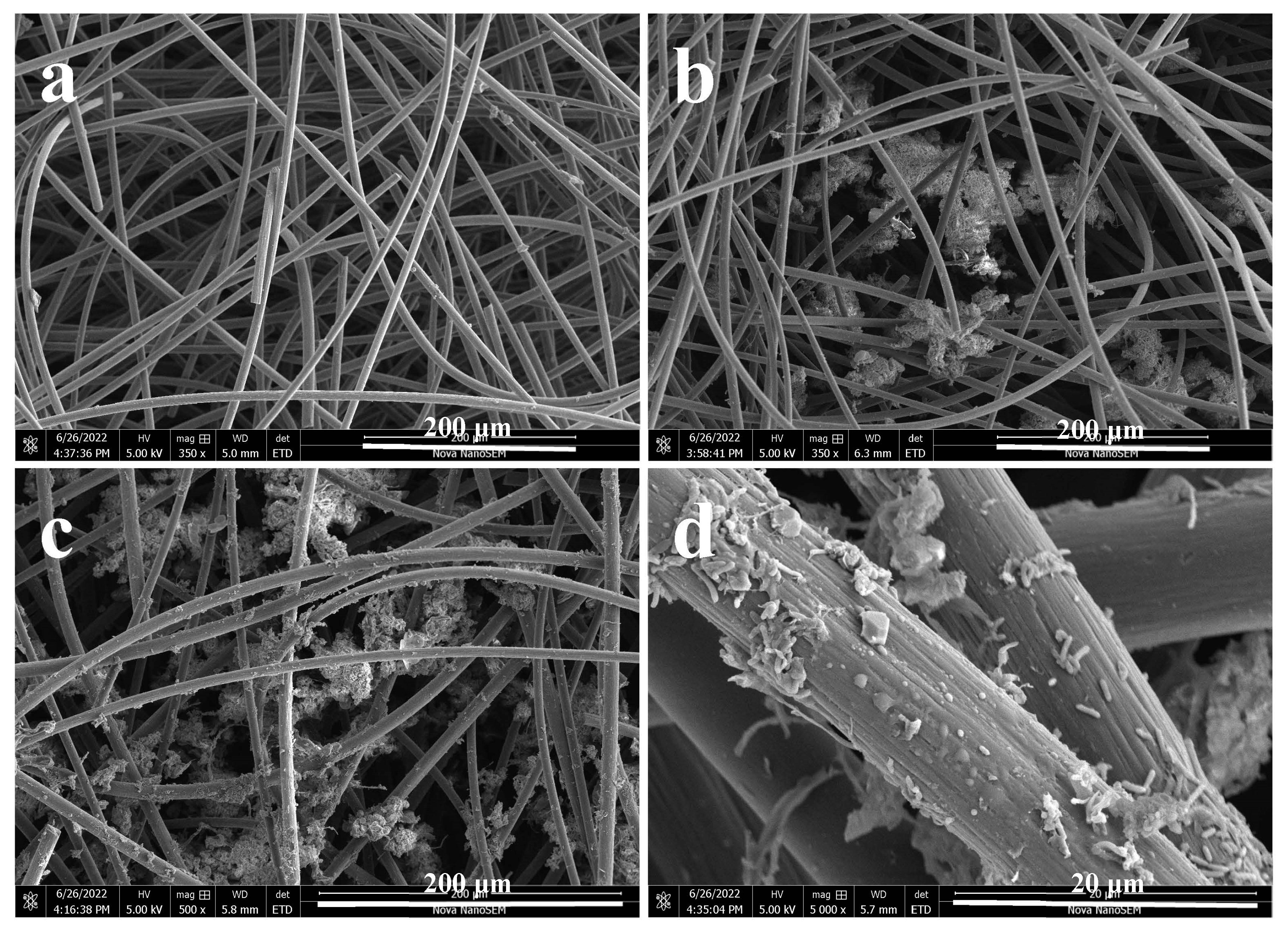 Fermentation 09 00983 g005