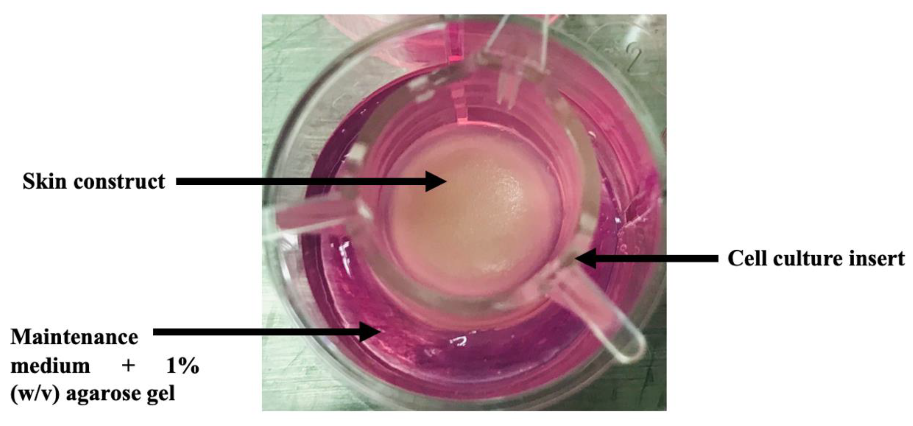 Fermentation 09 00985 g001