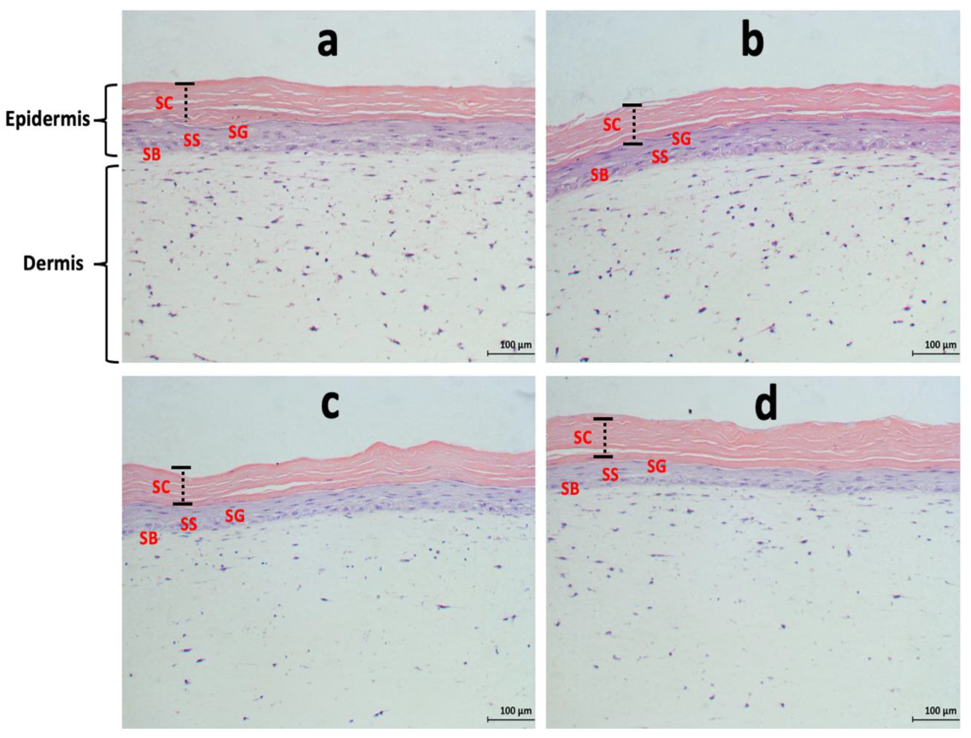 Fermentation 09 00985 g004