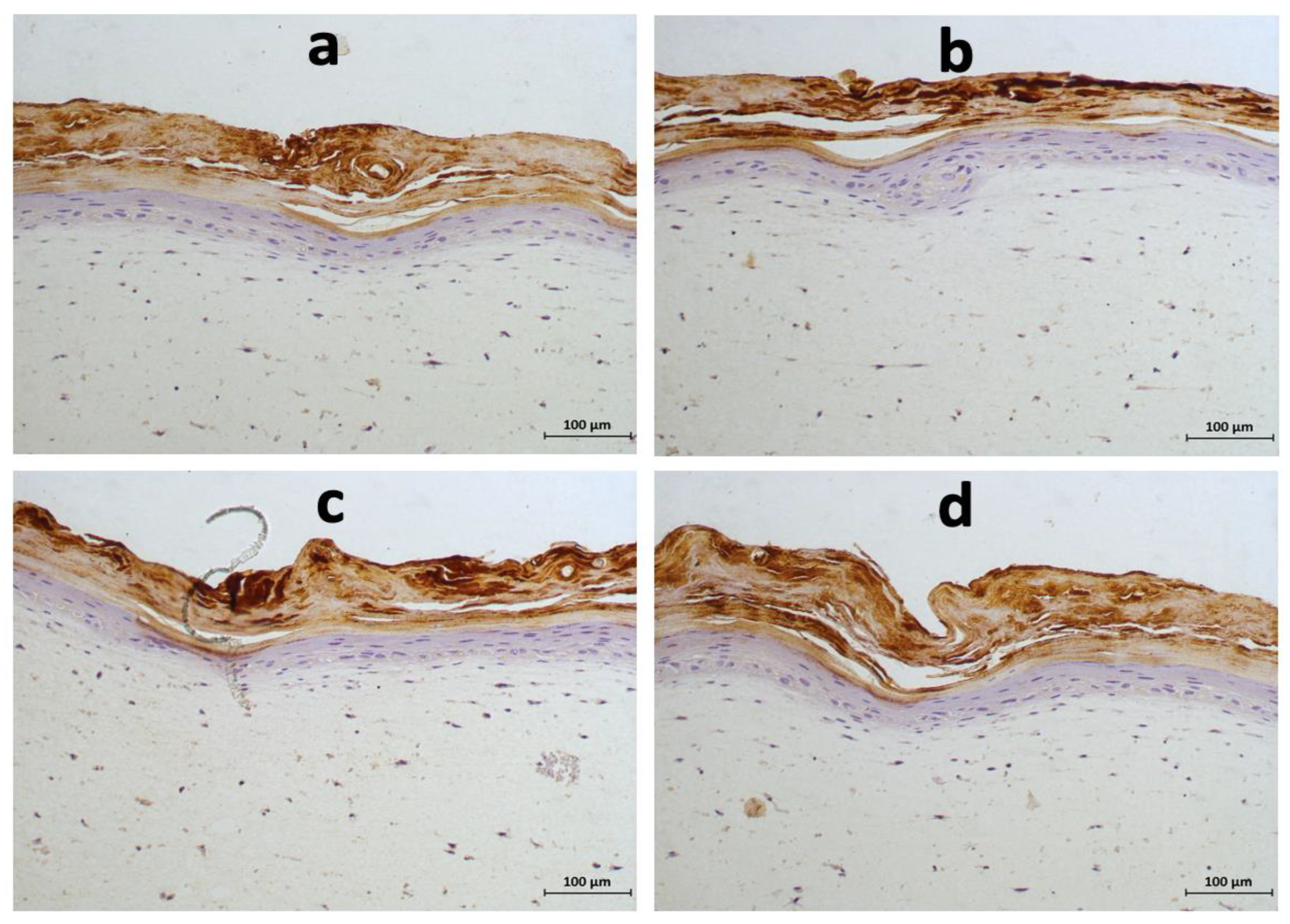Fermentation 09 00985 g005