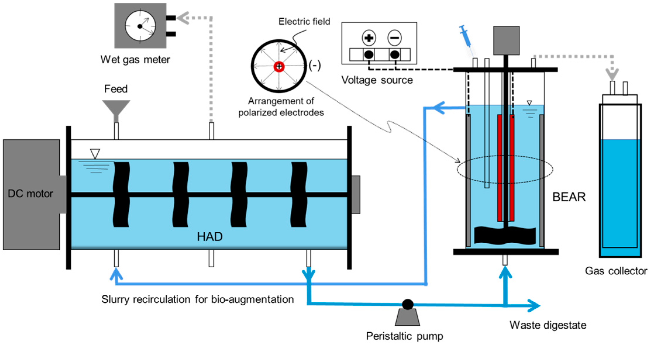 Fermentation 09 00988 g001