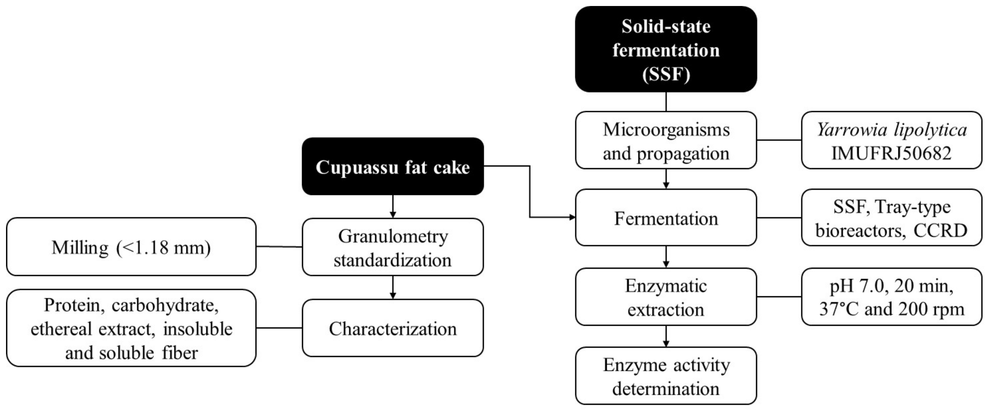 Fermentation 09 00989 g001