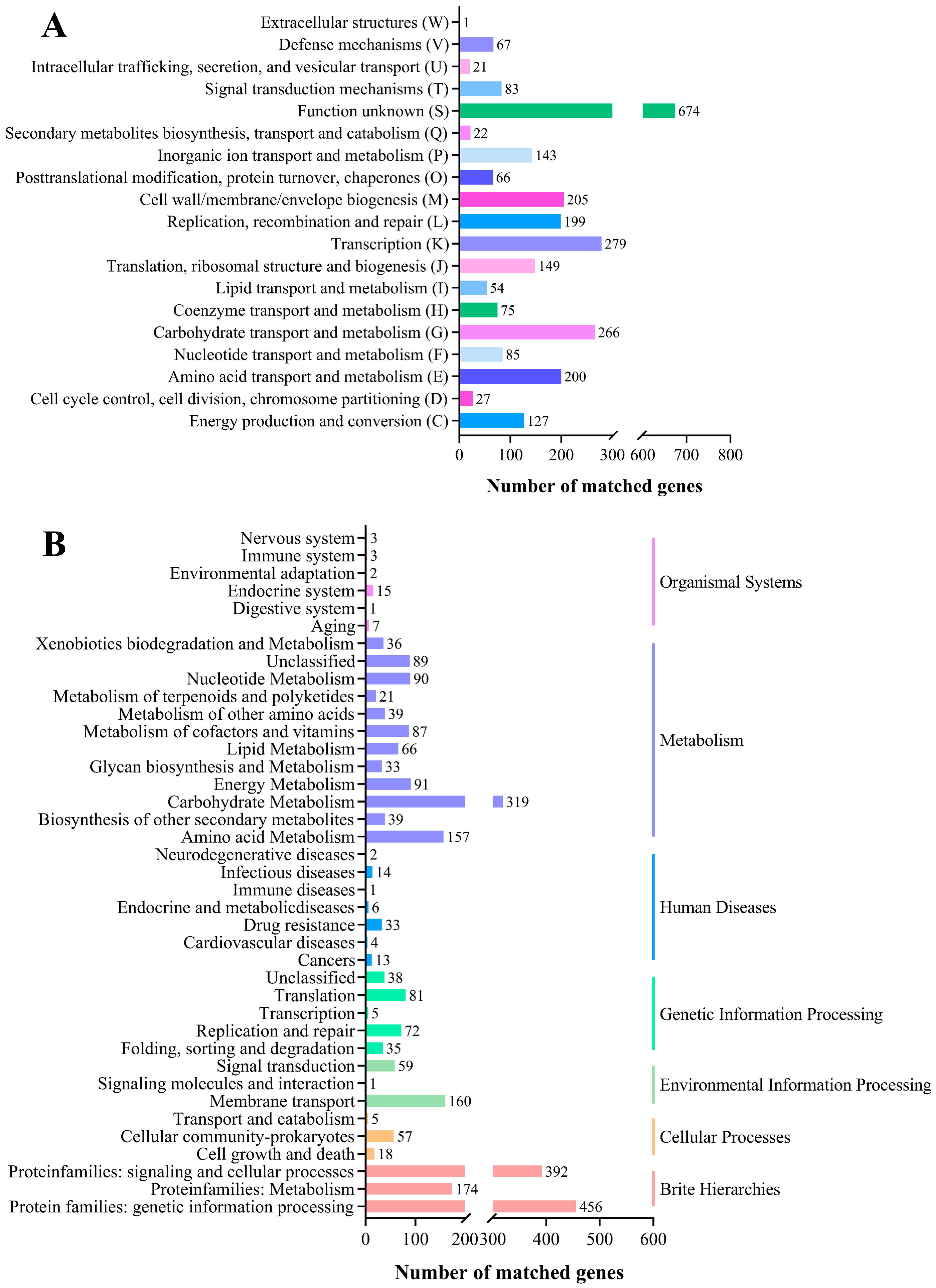 Fermentation 09 00996 g002