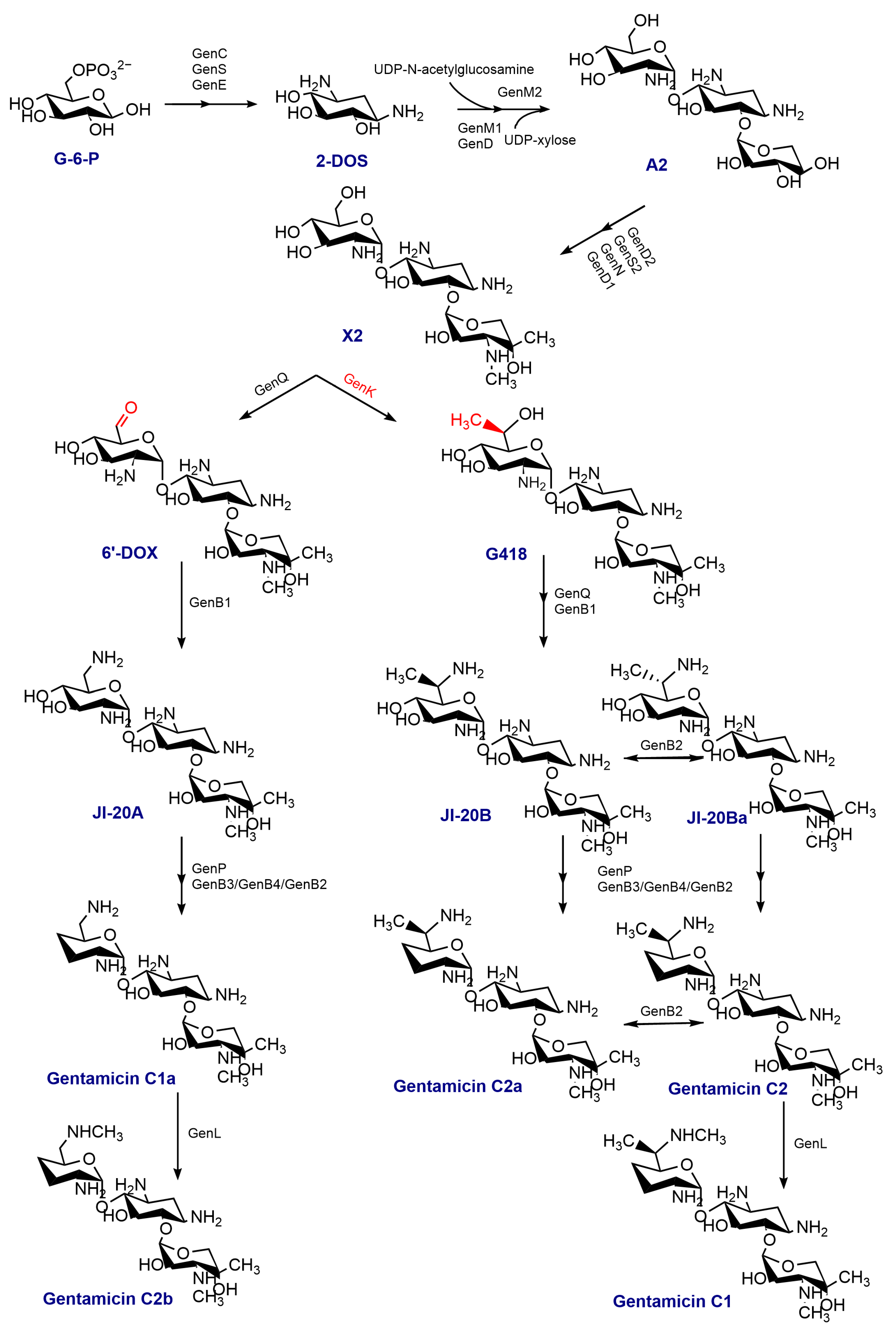 Fermentation 09 00997 g001