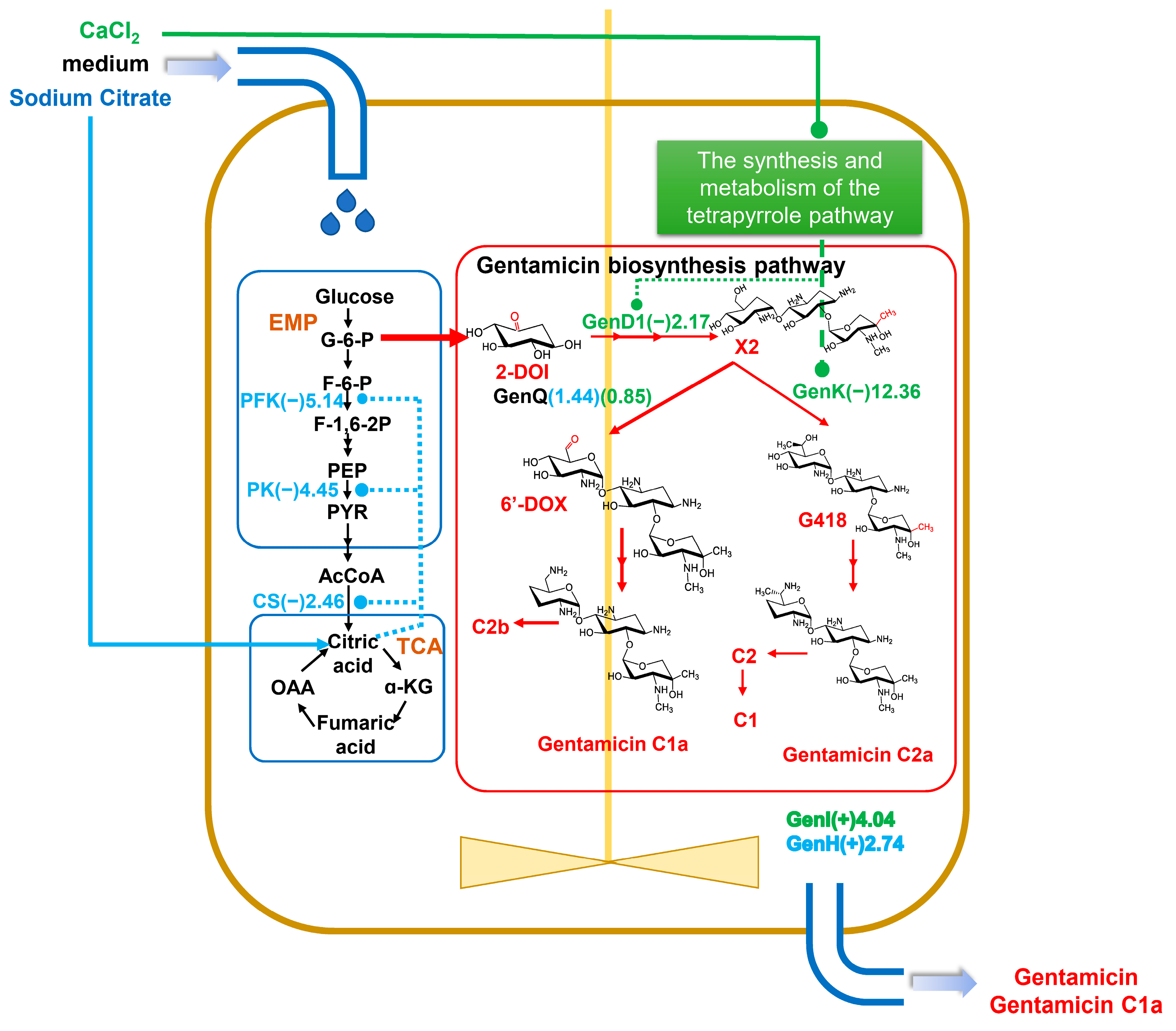 Fermentation 09 00997 g009