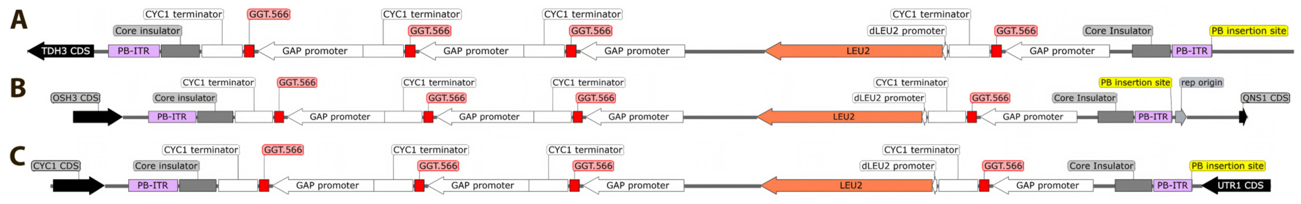 Fermentation 09 00999 g003