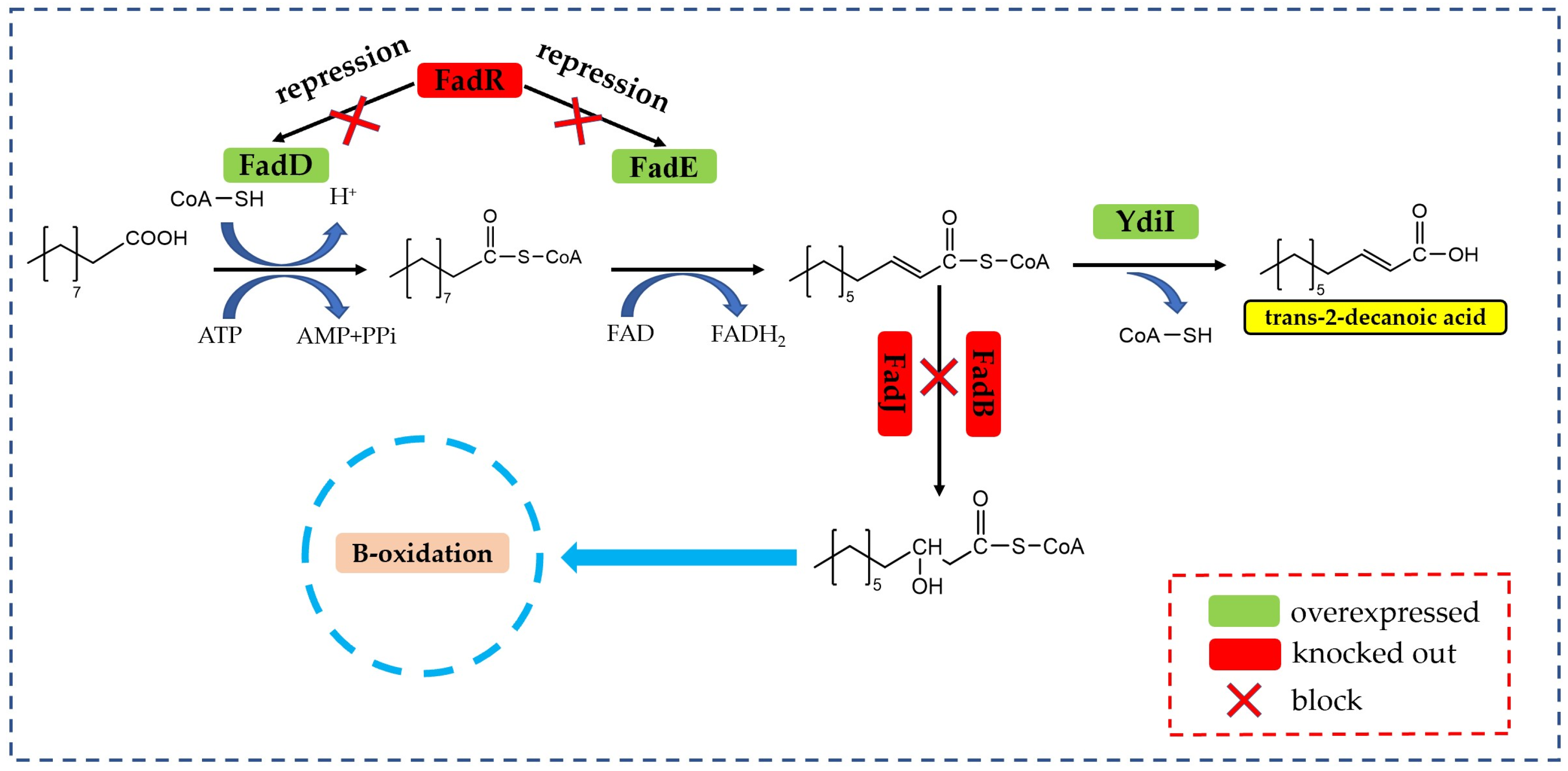Fermentation 09 01001 g002