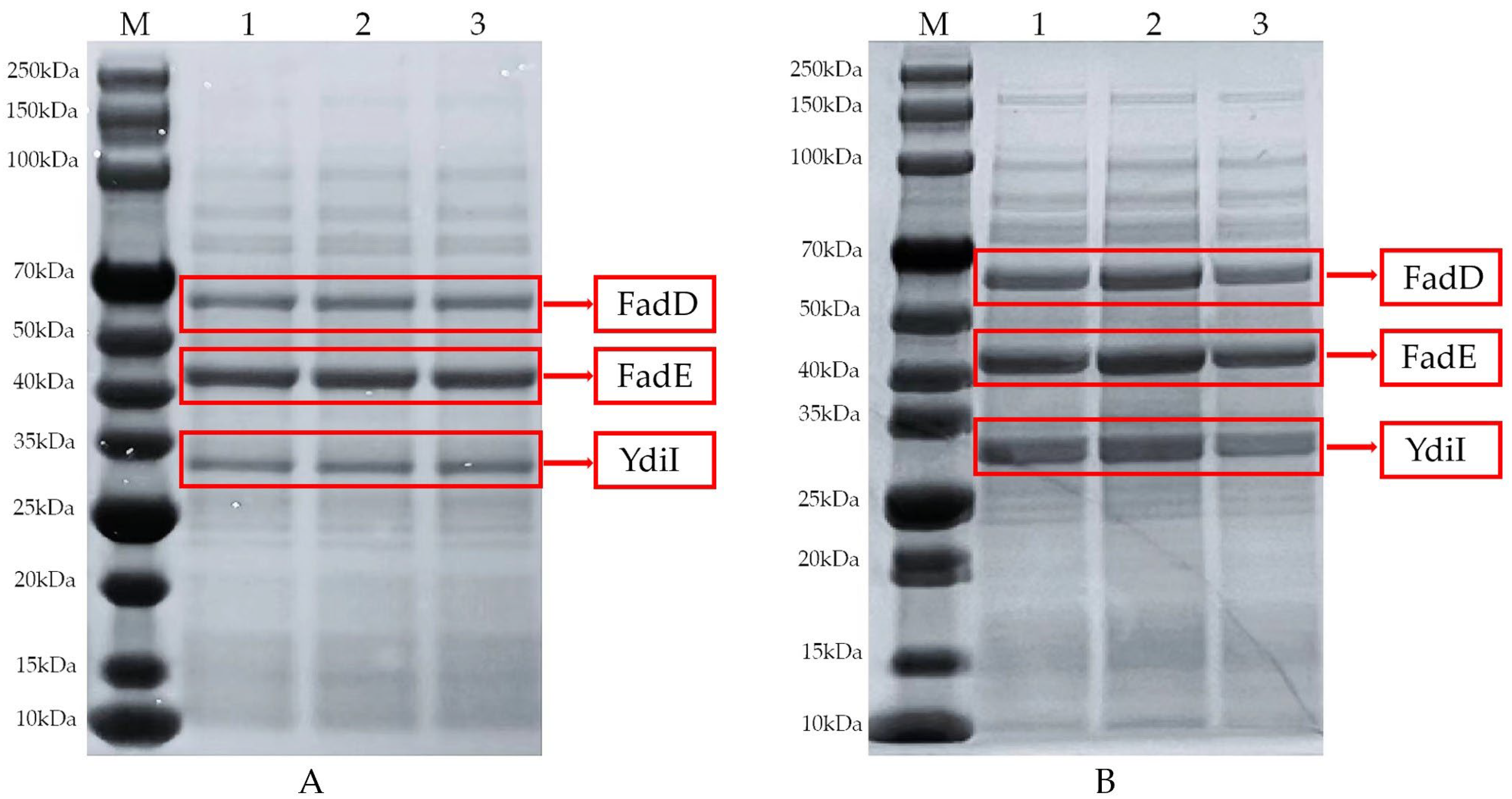 Fermentation 09 01001 g007