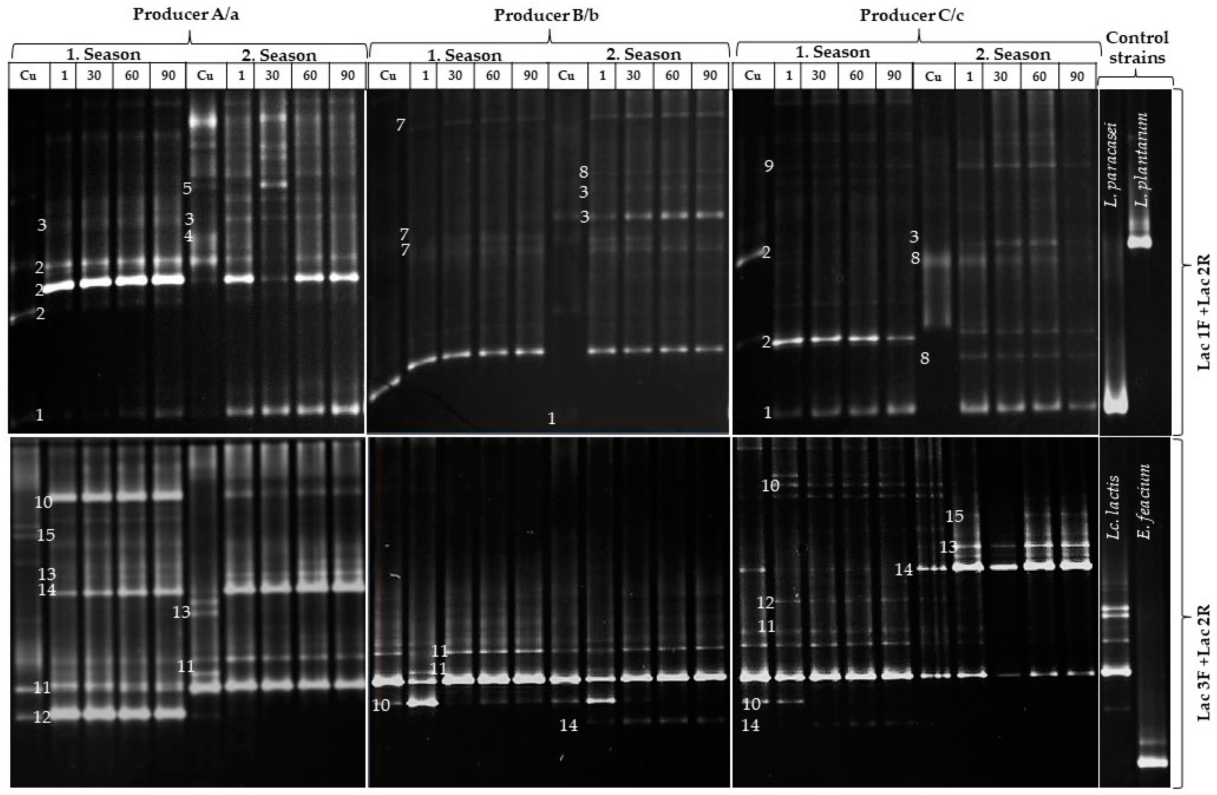 Fermentation 09 01006 g001