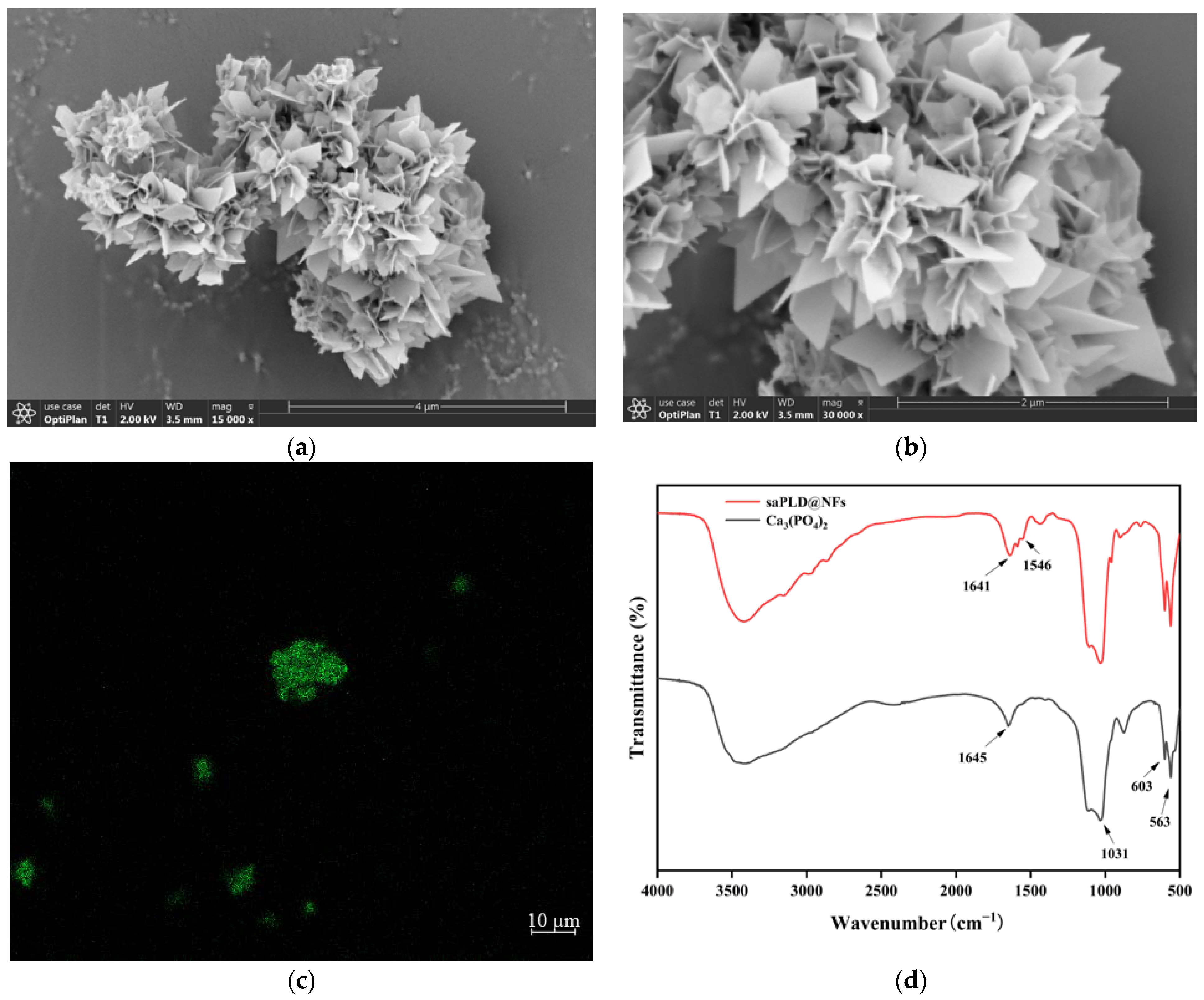 Fermentation 09 01016 g002