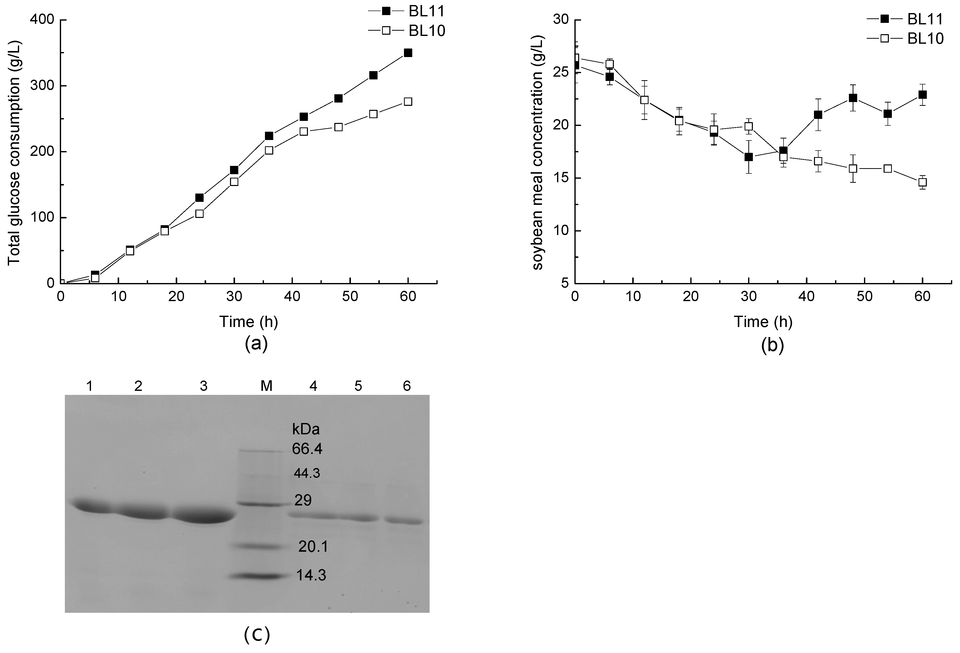 Fermentation 09 01018 g003