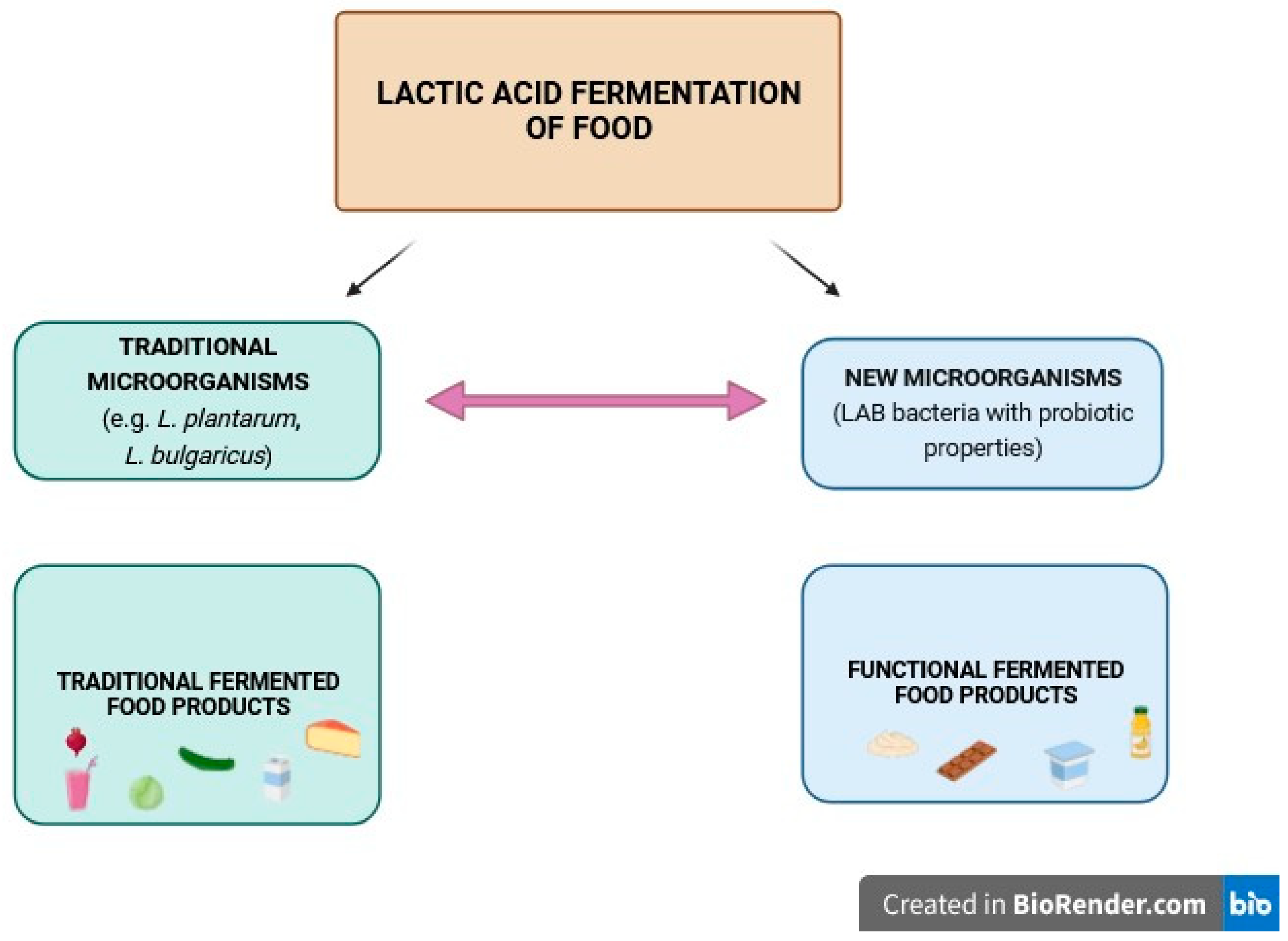 Fermentation 09 01019 g002 Fermentation 09 01019 g002