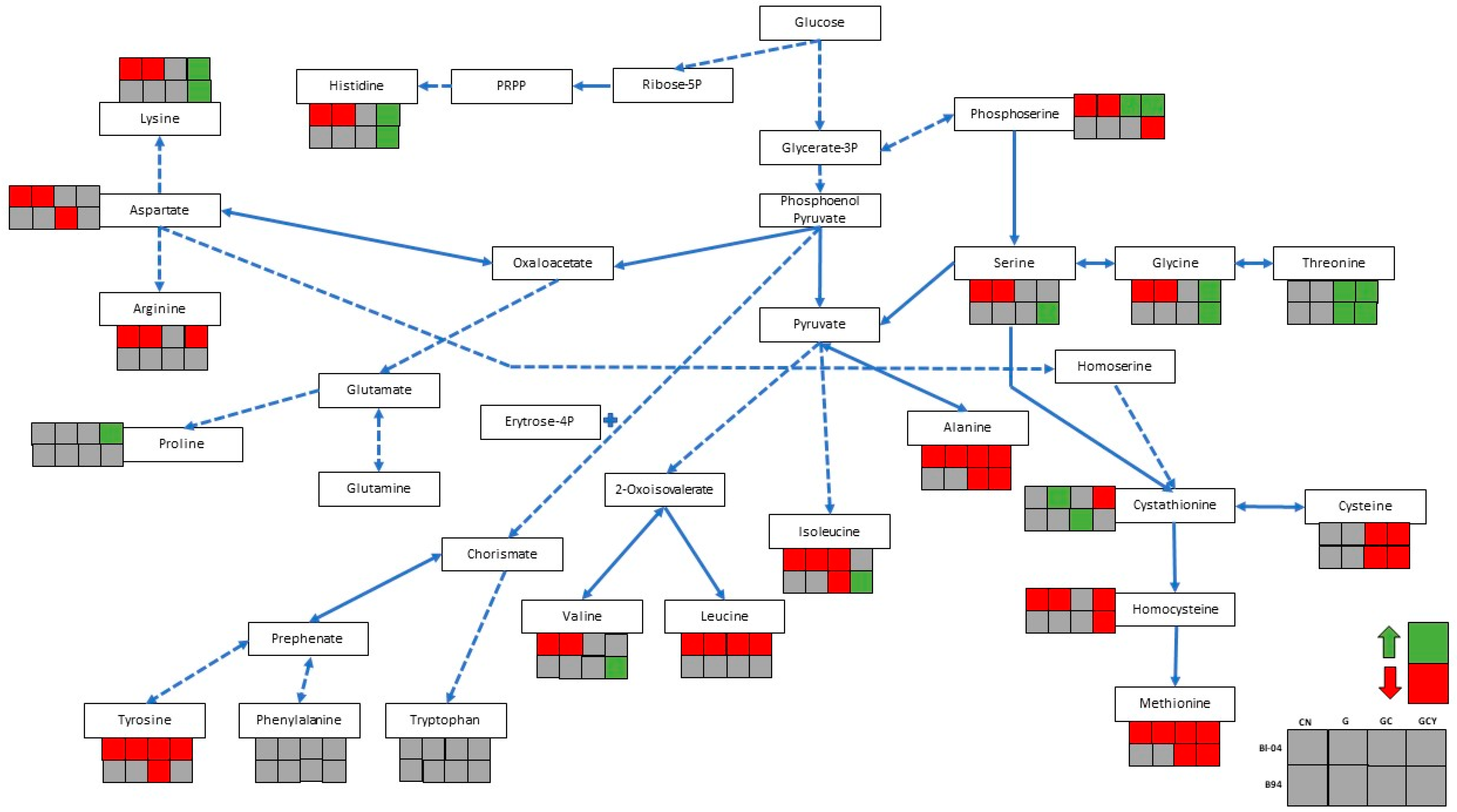 Fermentation 09 01024 g002