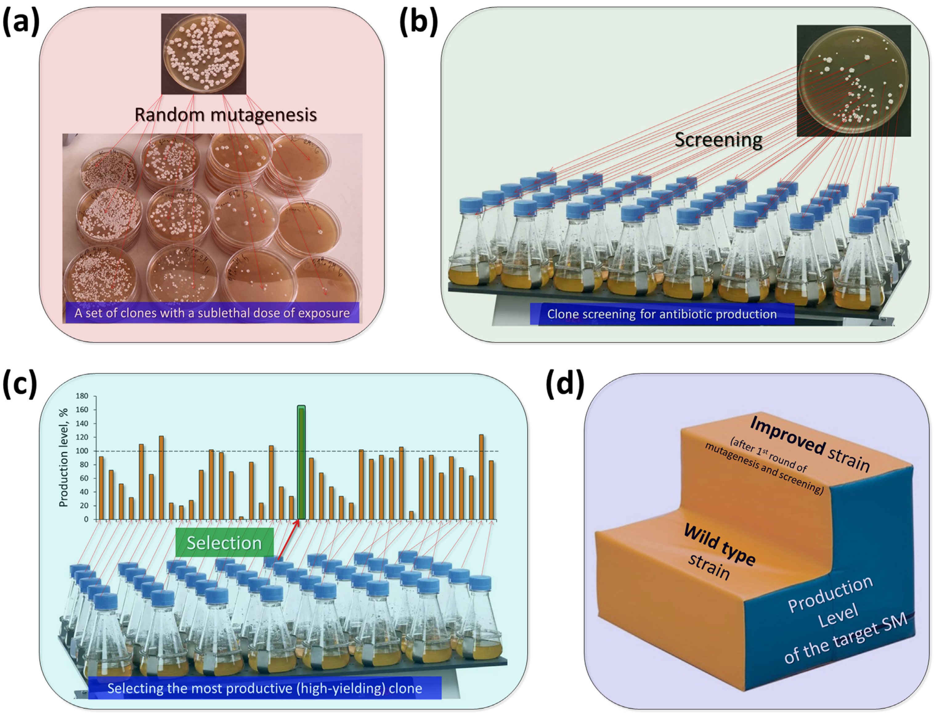 Fermentation 09 01027 g004