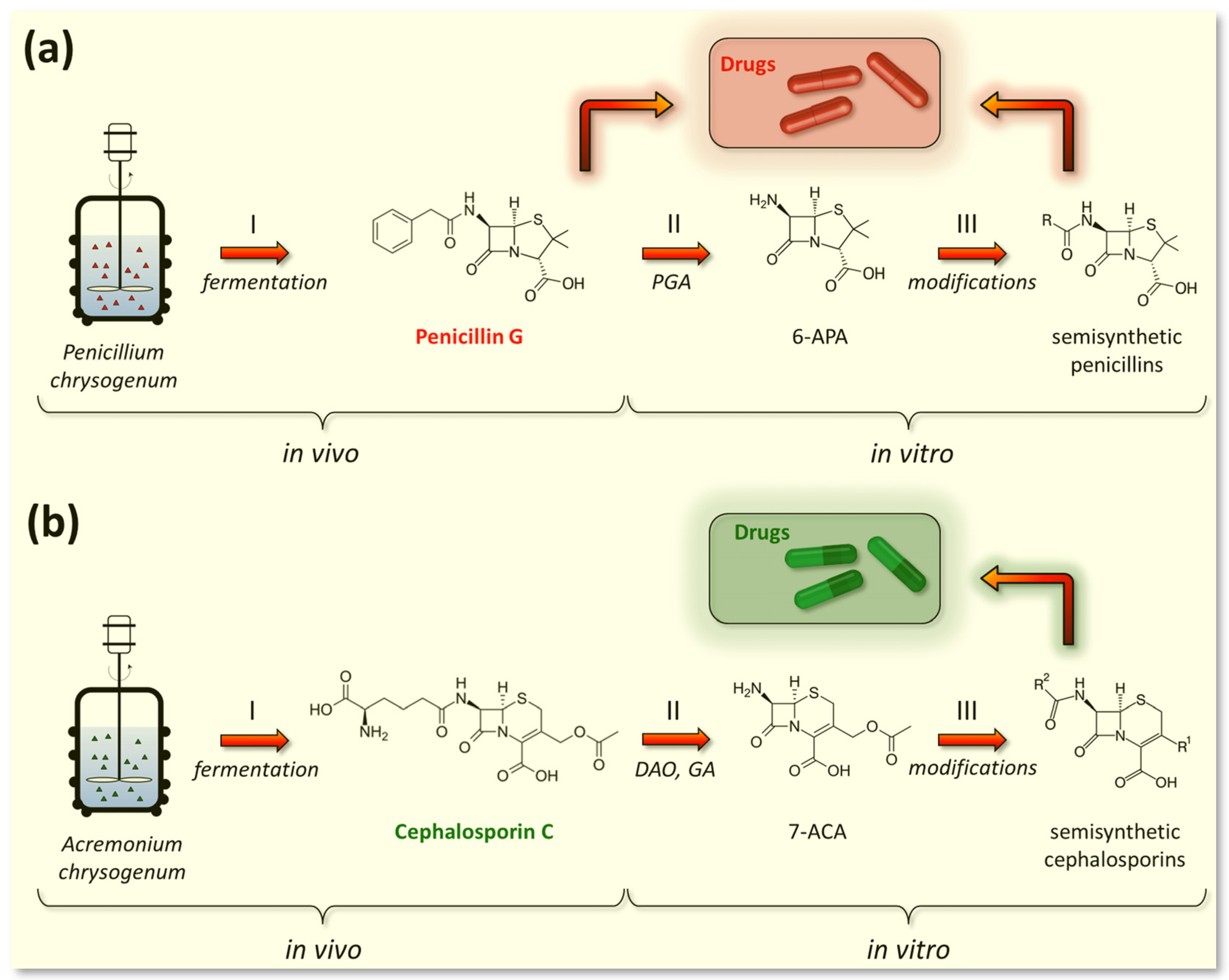 Fermentation 09 01027 g006
