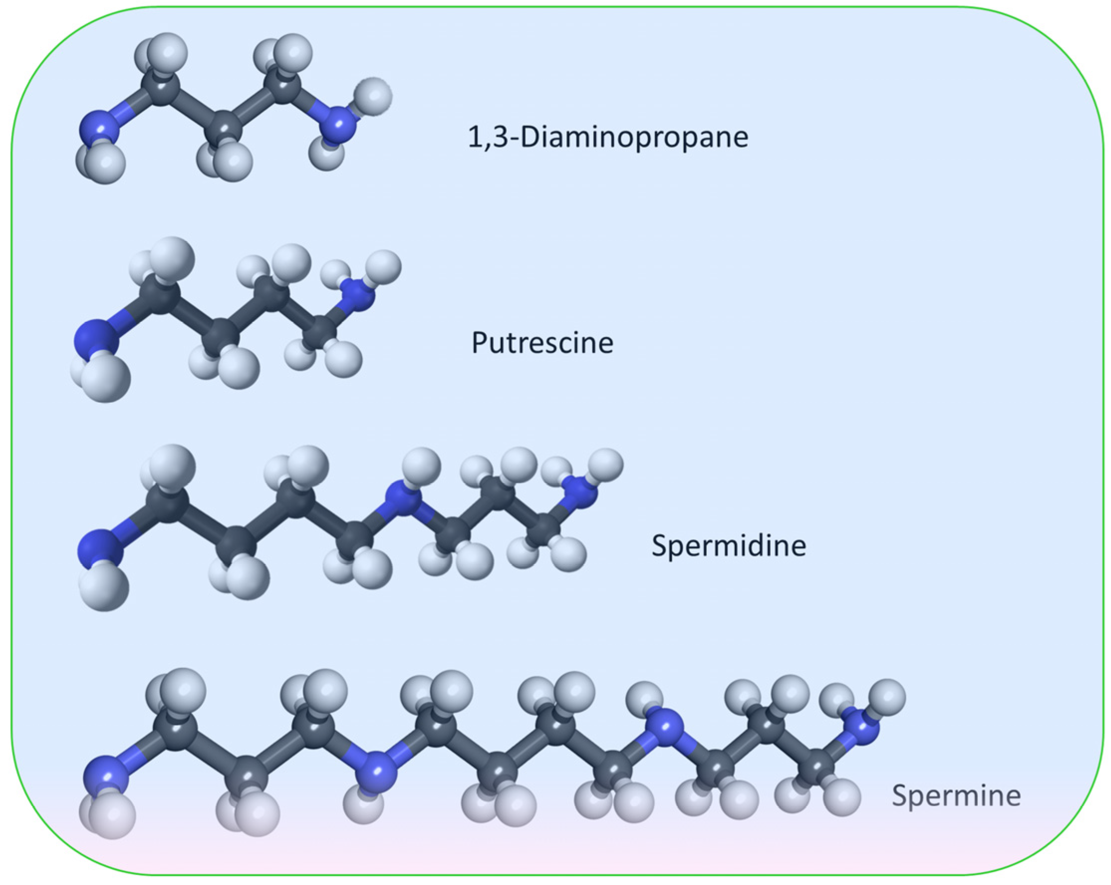 Fermentation 09 01027 g007