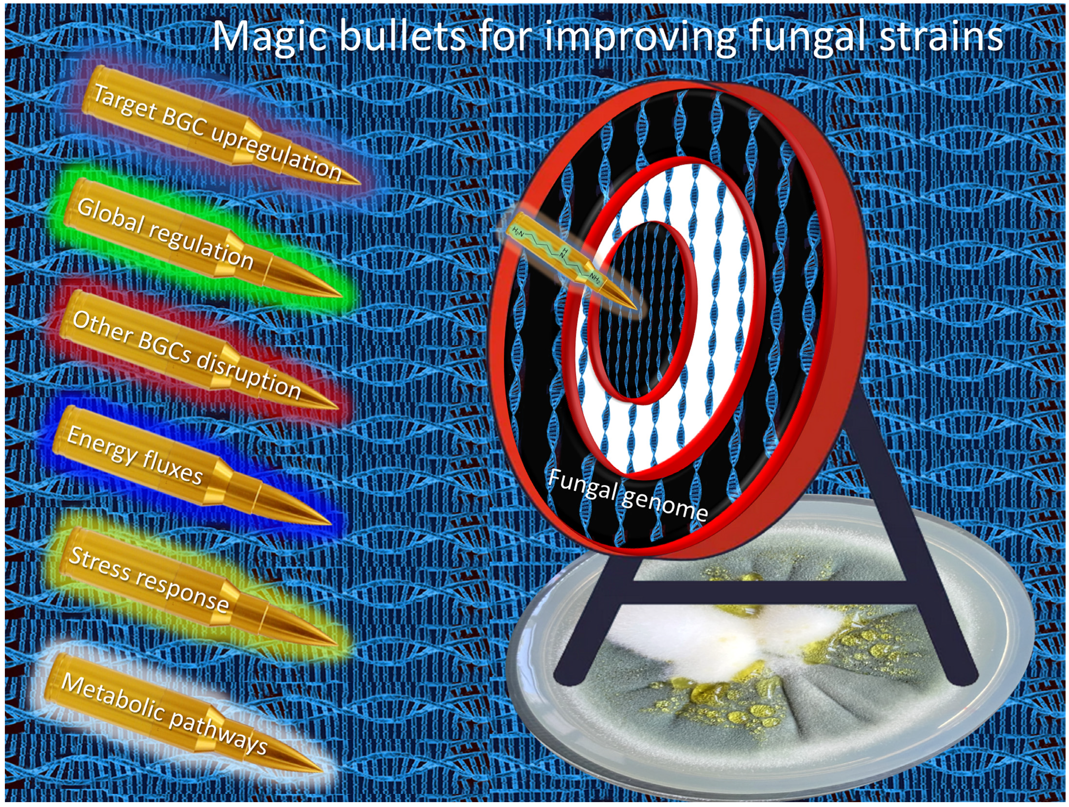 Fermentation 09 01027 g009