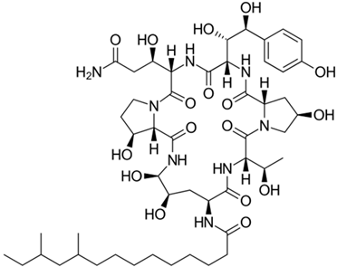 Fermentation 09 01027 i006