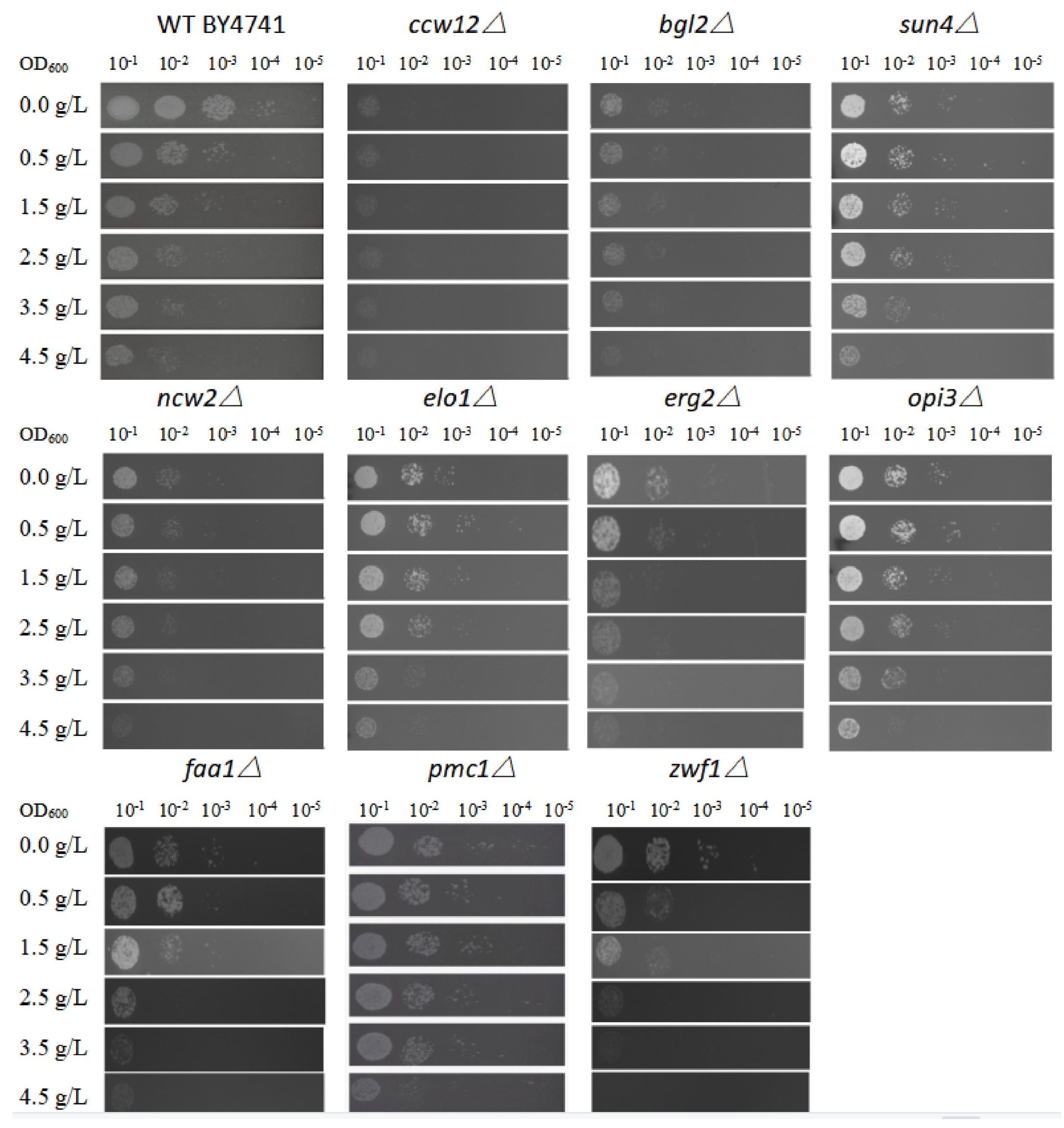 Fermentation 10 00004 g003