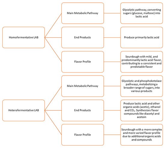 Sourdoughs as Natural Enhancers of Bread Quality and Shelf Life: A 
