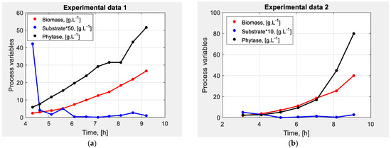 Model Identification of E. coli Cultivation Process Applying